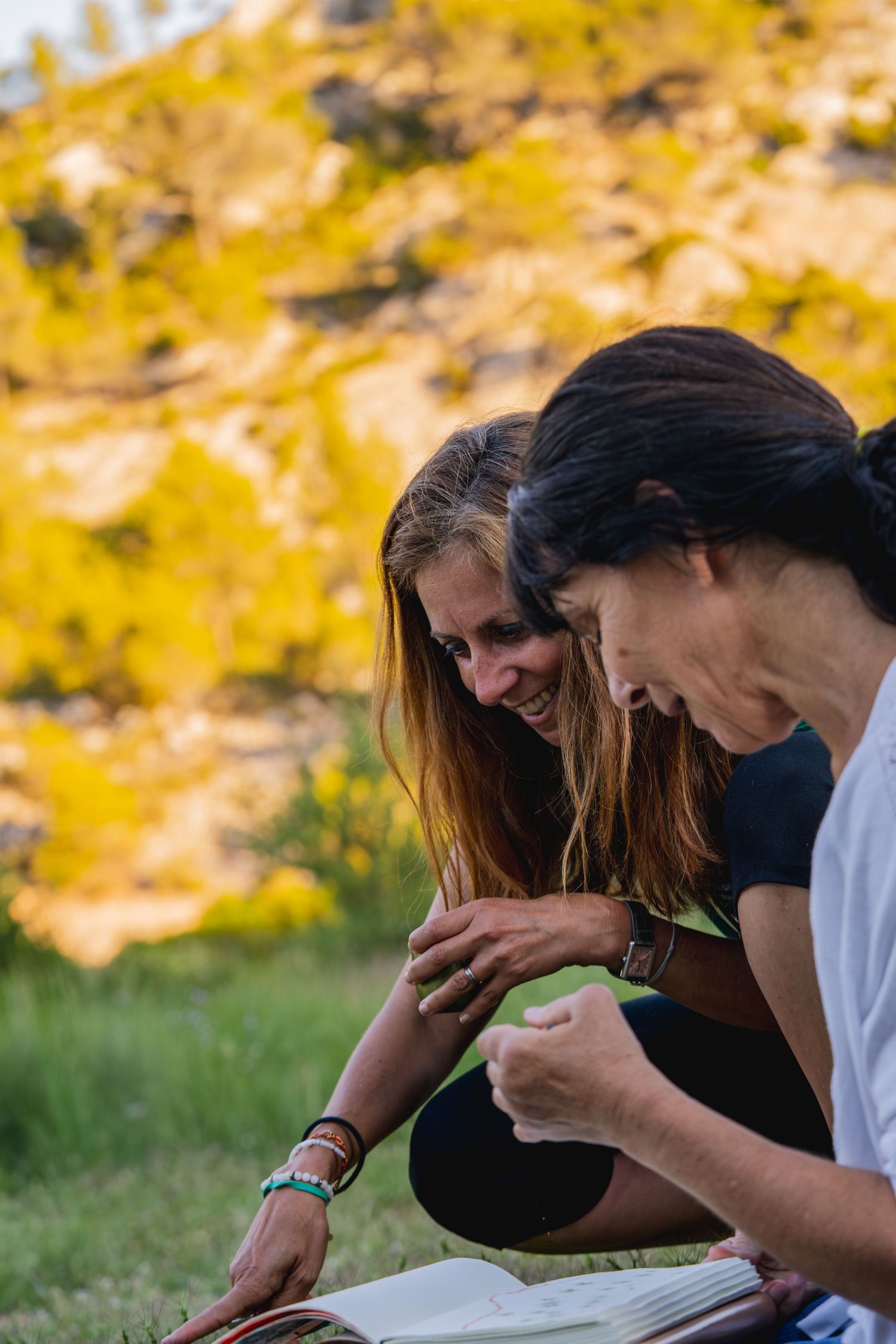 Peintre réalisant un cours en plein air en Provence.