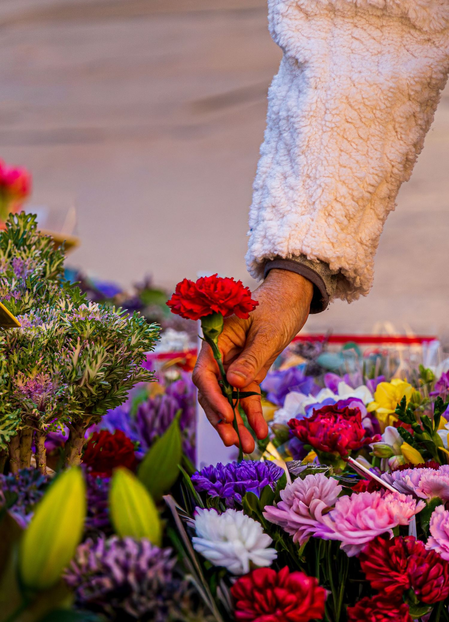 Fleuriste montrant son métier lors d'un reportage photographique à Aix-en-Provence.