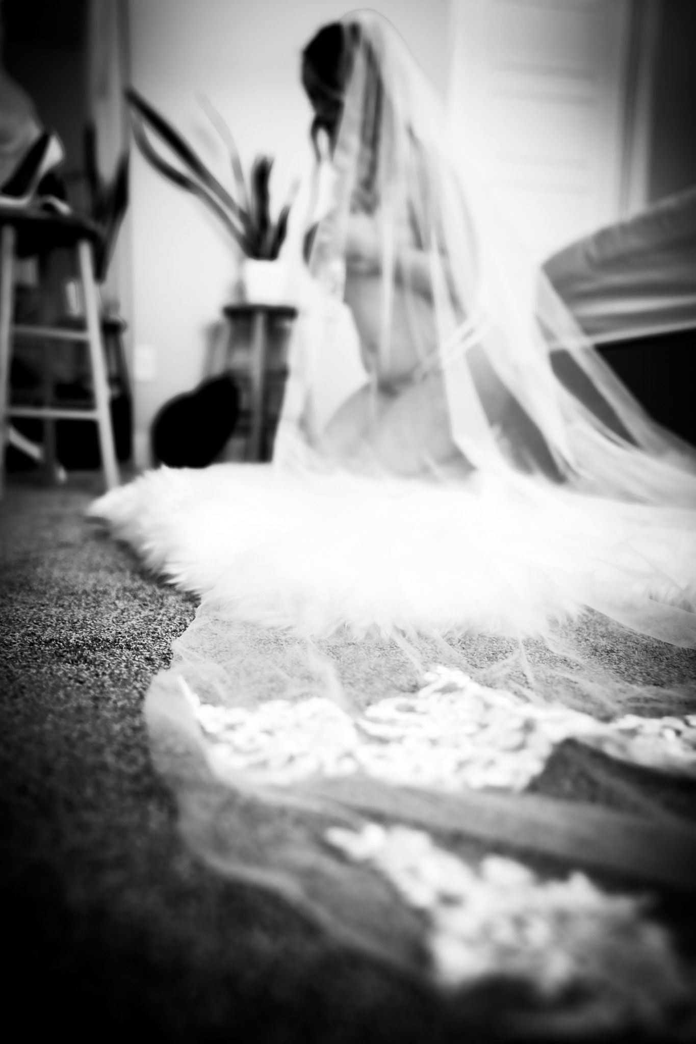 Black and white artistic photo of bride in veil with lace train spread on floor.