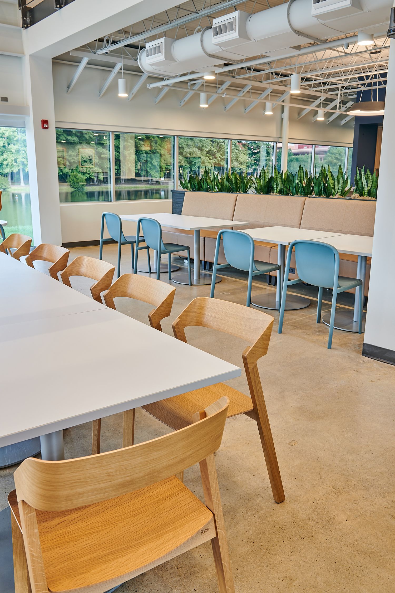 Modern office cafeteria with wooden chairs and white tables near large windows with green plant dividers.
