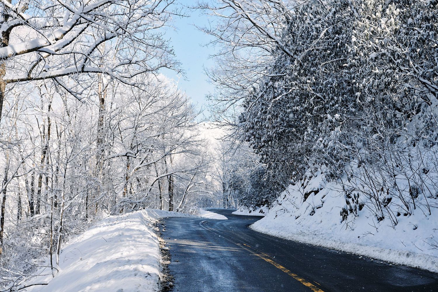 Snow-covered trees lining a winding road through a peaceful winter landscape on a clear sunny day.