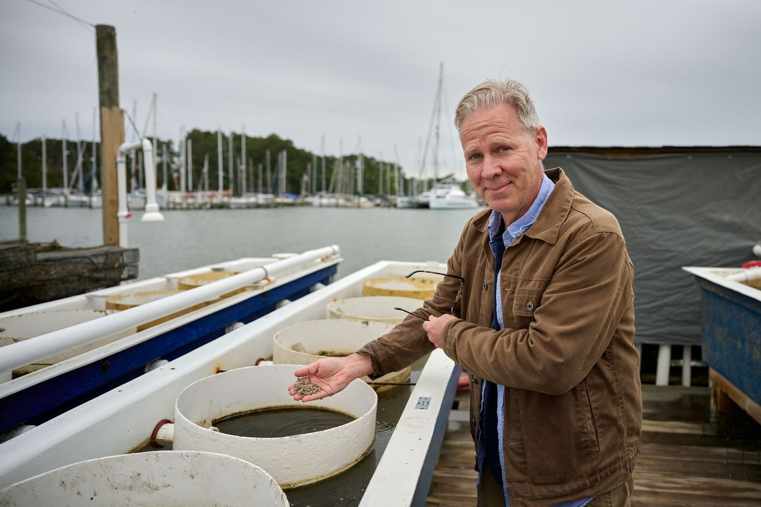 Man in brown jacket examines marine specimens in tubs on a boat dock at a marina.