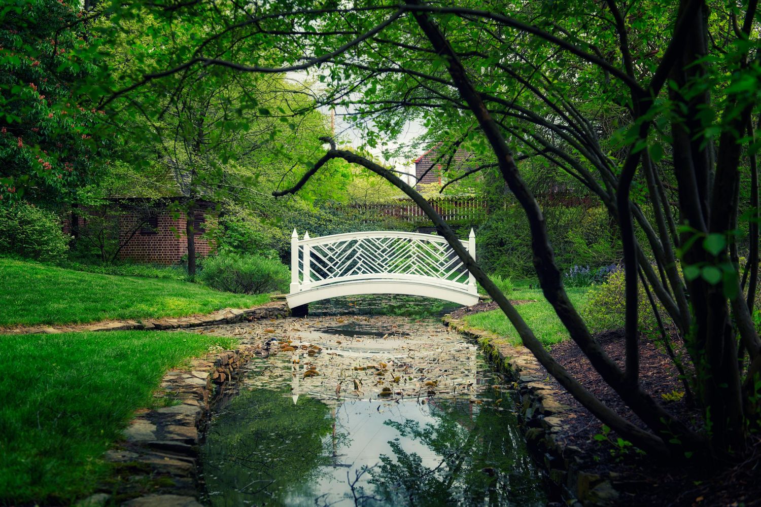 White ornamental footbridge over tranquil pond surrounded by lush green trees.