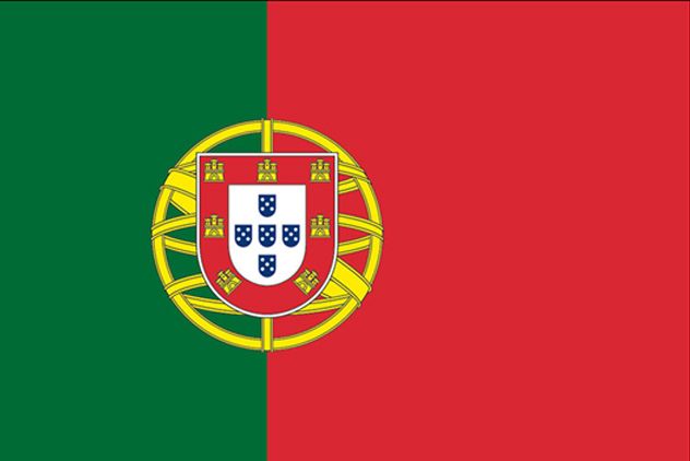 Flag of Portugal with a green vertical stripe on the left and red on the right, featuring the national coat of arms.
