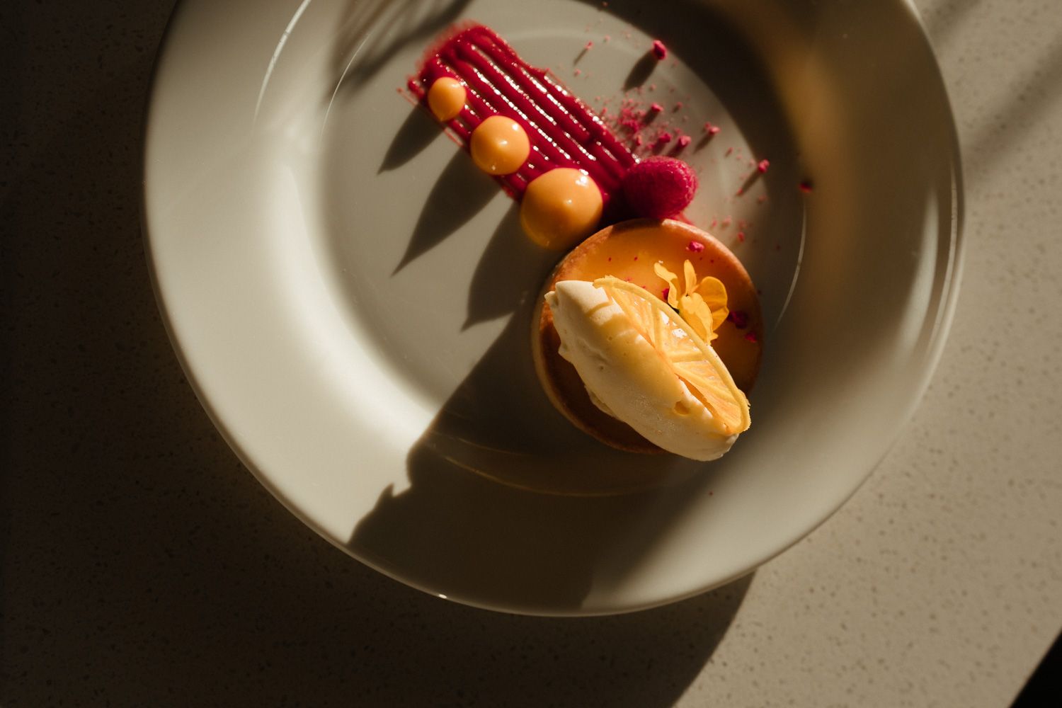 Elegant plated dessert with vanilla ice cream, raspberry coulis, and fruit garnish on a white plate.
