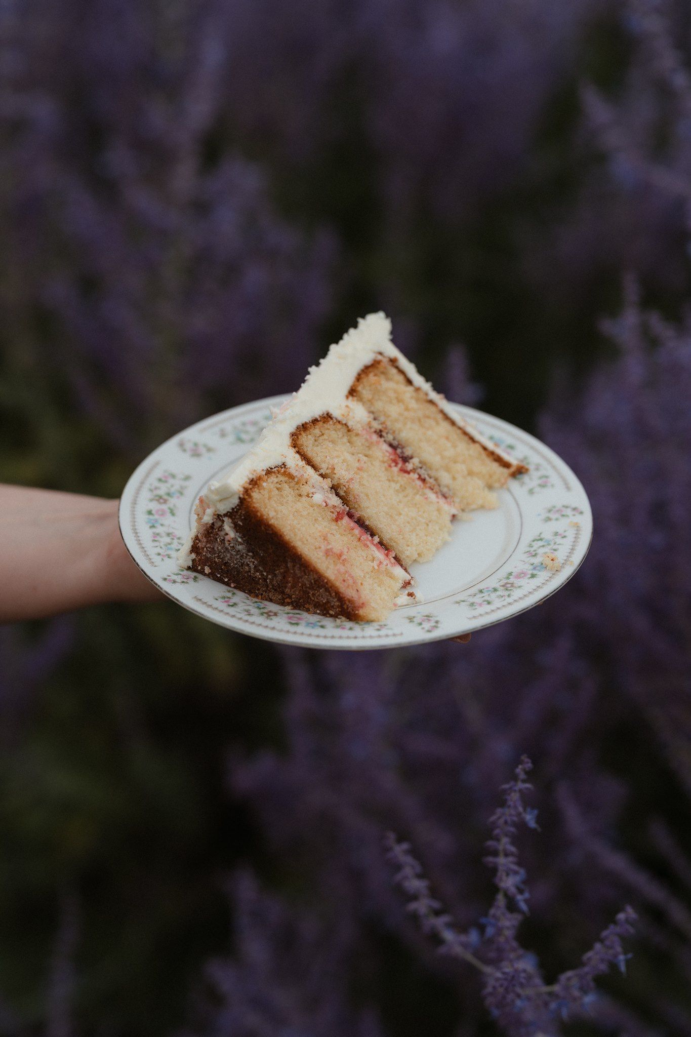 A slice of layered vanilla cake with raspberry filling on a floral plate, held against purple lavender fields.