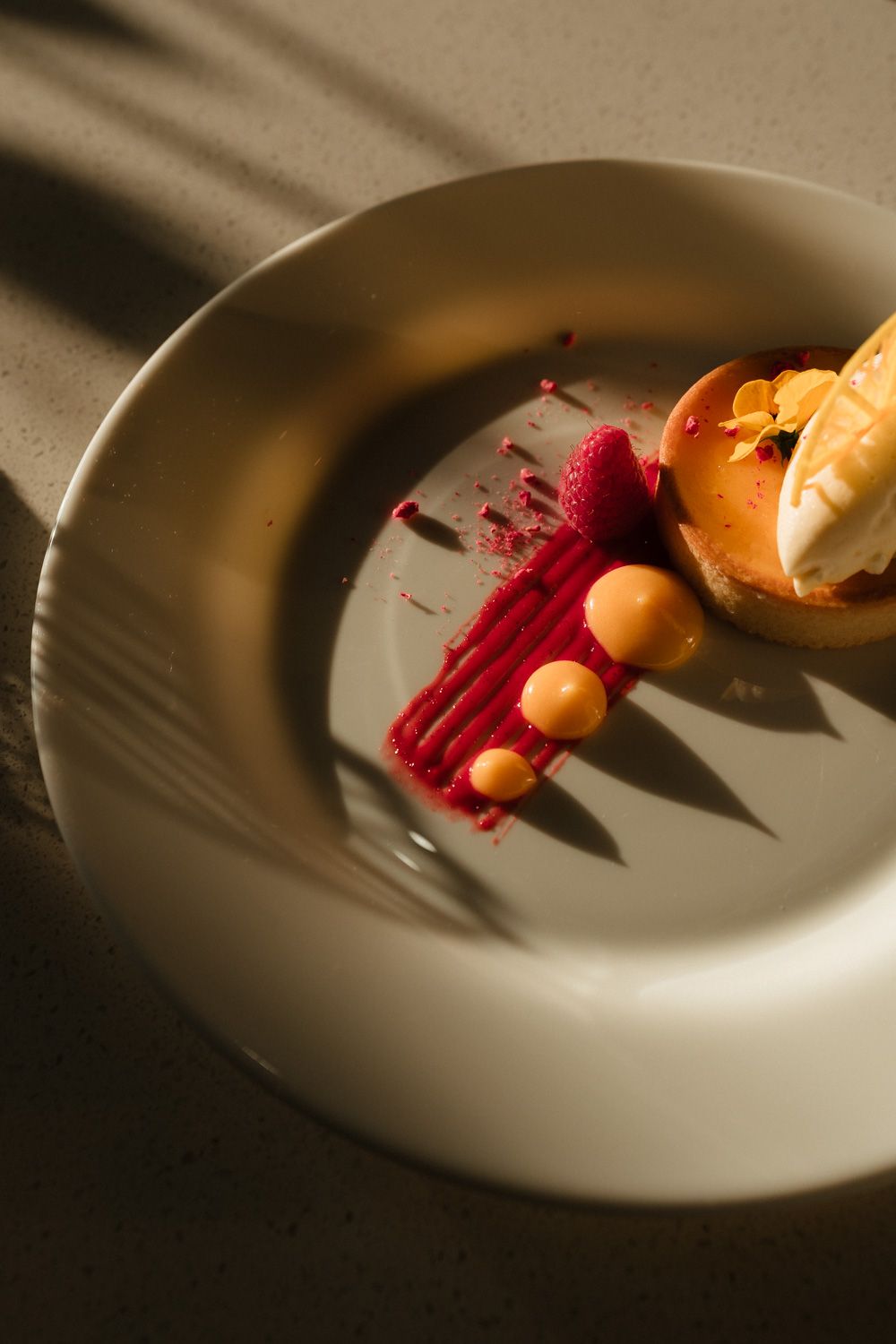 Elegant dessert plate with raspberry coulis, cream puffs, and fresh berries in dramatic sunlight.
