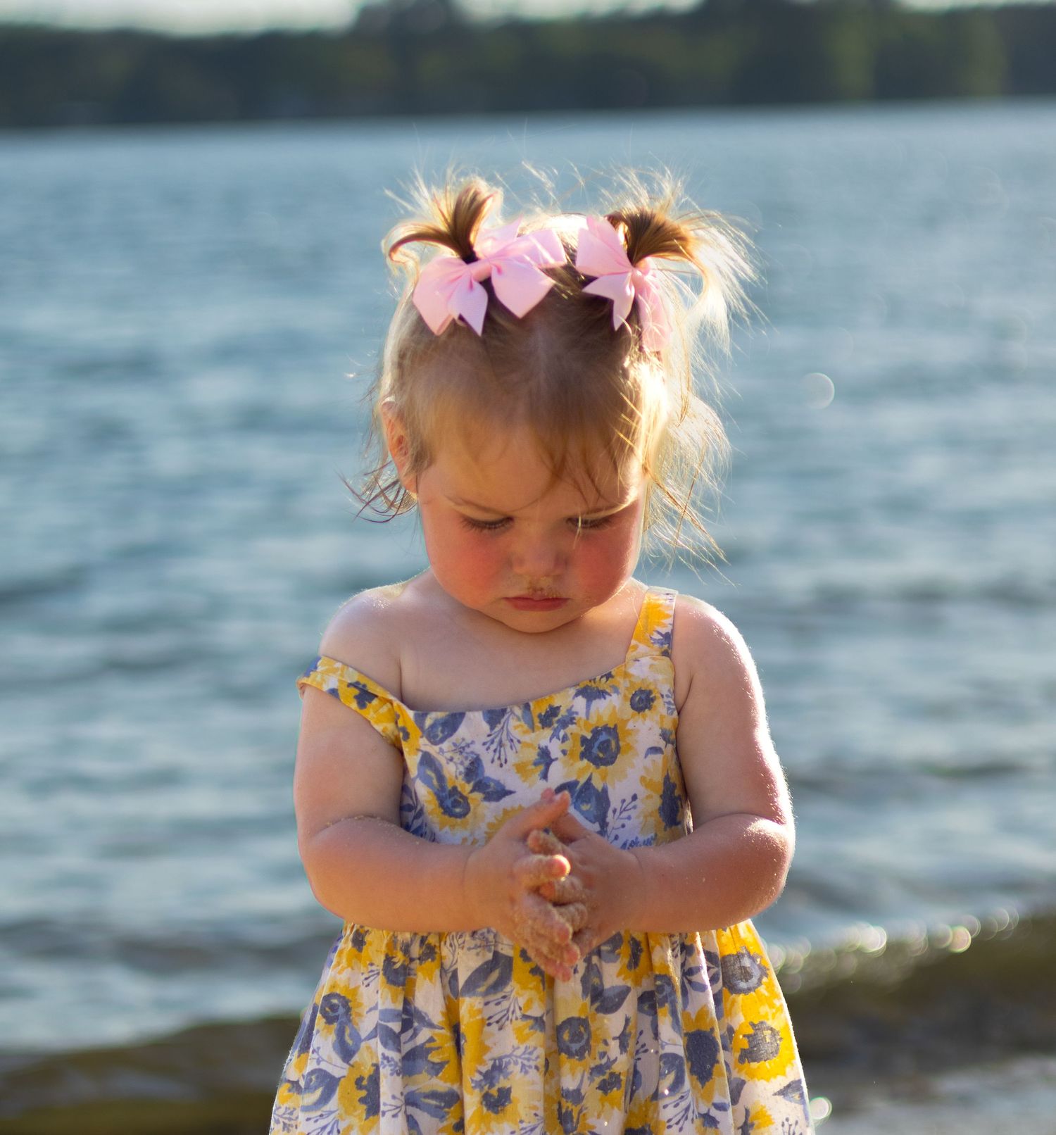 Family photography session at Windjammer Park in Tega Cay, South Carolina.
