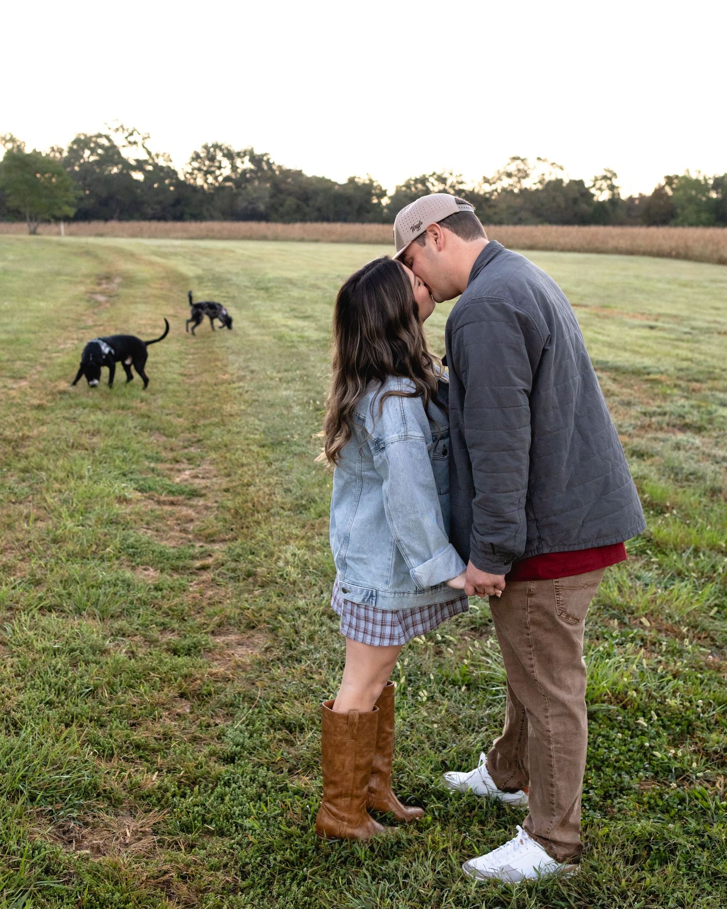 Couple sharing a kiss in an open field at sunset, holding hands, with two black dogs playing in the background.