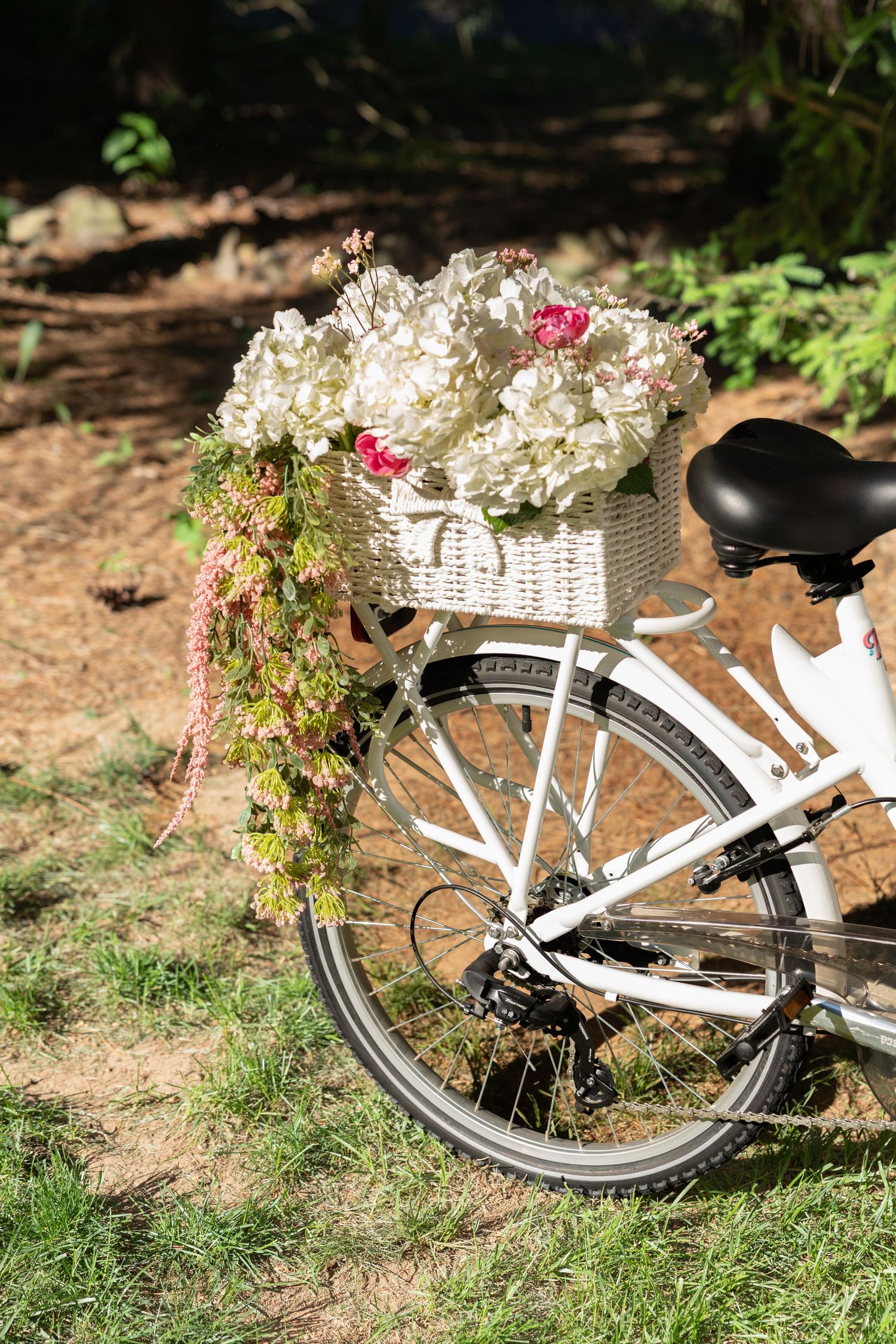 White bicycle with a wicker basket filled with white hydrangeas and pink flowers in a sunny garden.