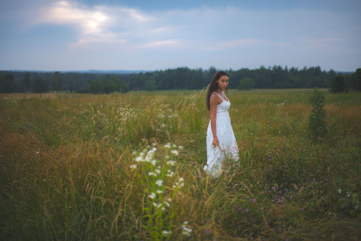 Figure in white dress stands in distance among wildflowers at dusk.