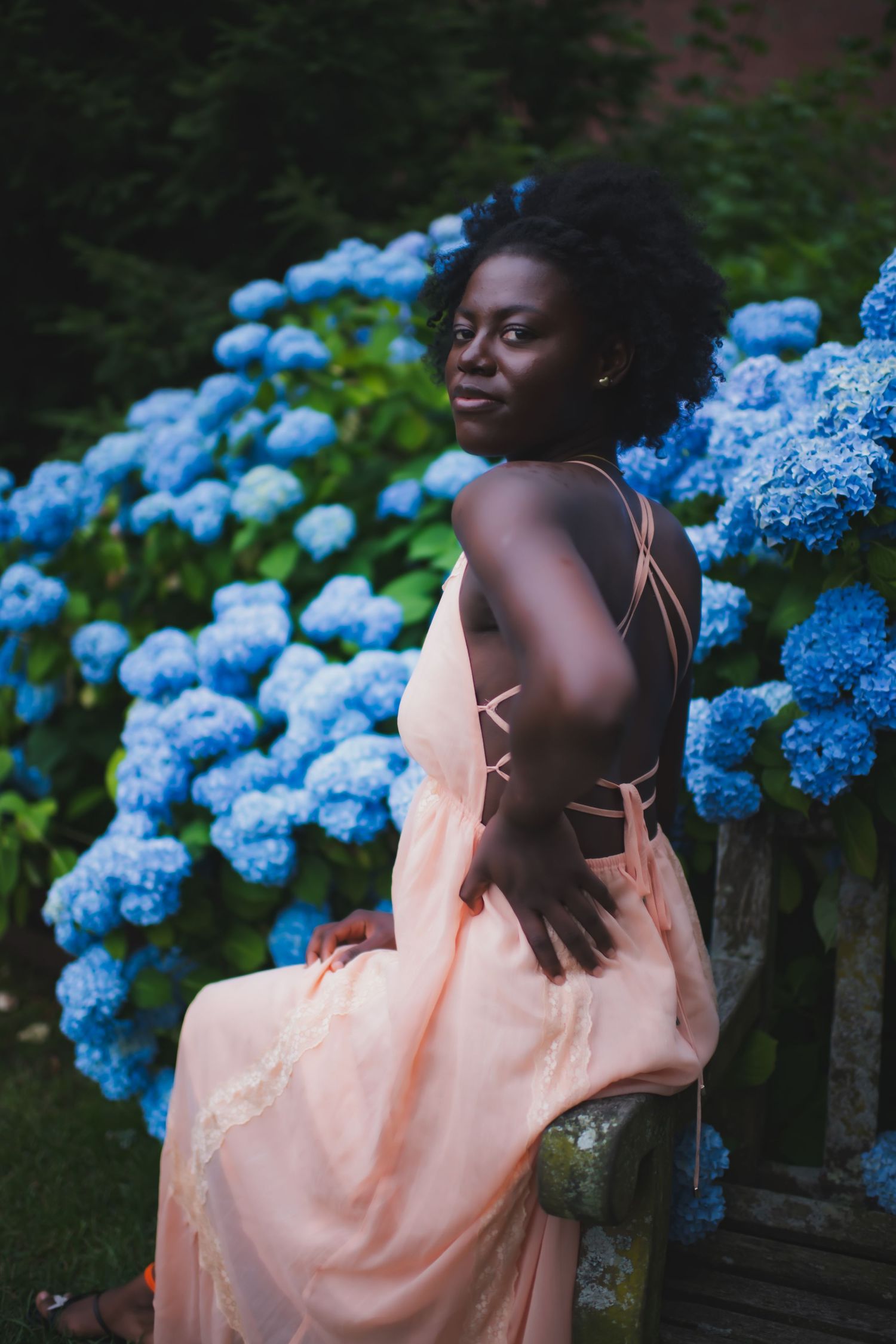 Peachy dress contrasting with vibrant blue hydrangea flowers in garden.