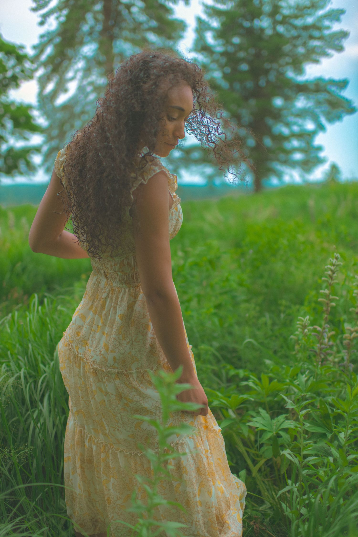 Dreamy portrait in a yellow lace dress amid tall grass and evergreen trees.