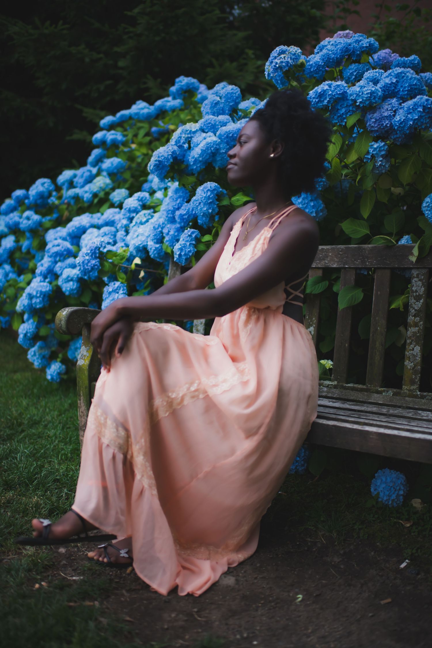 Peaceful garden scene with peach dress and bright blue hydrangeas.