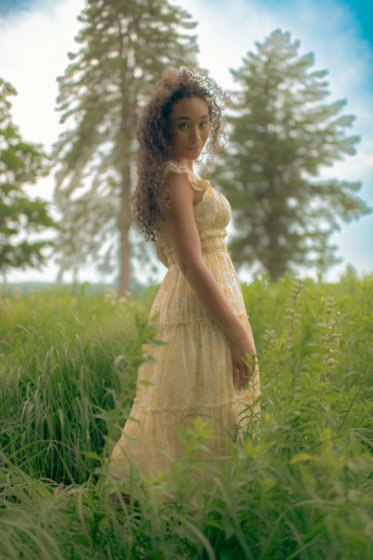 Woman in yellow vintage dress poses gracefully in a sunny meadow with tall pine trees in the background.