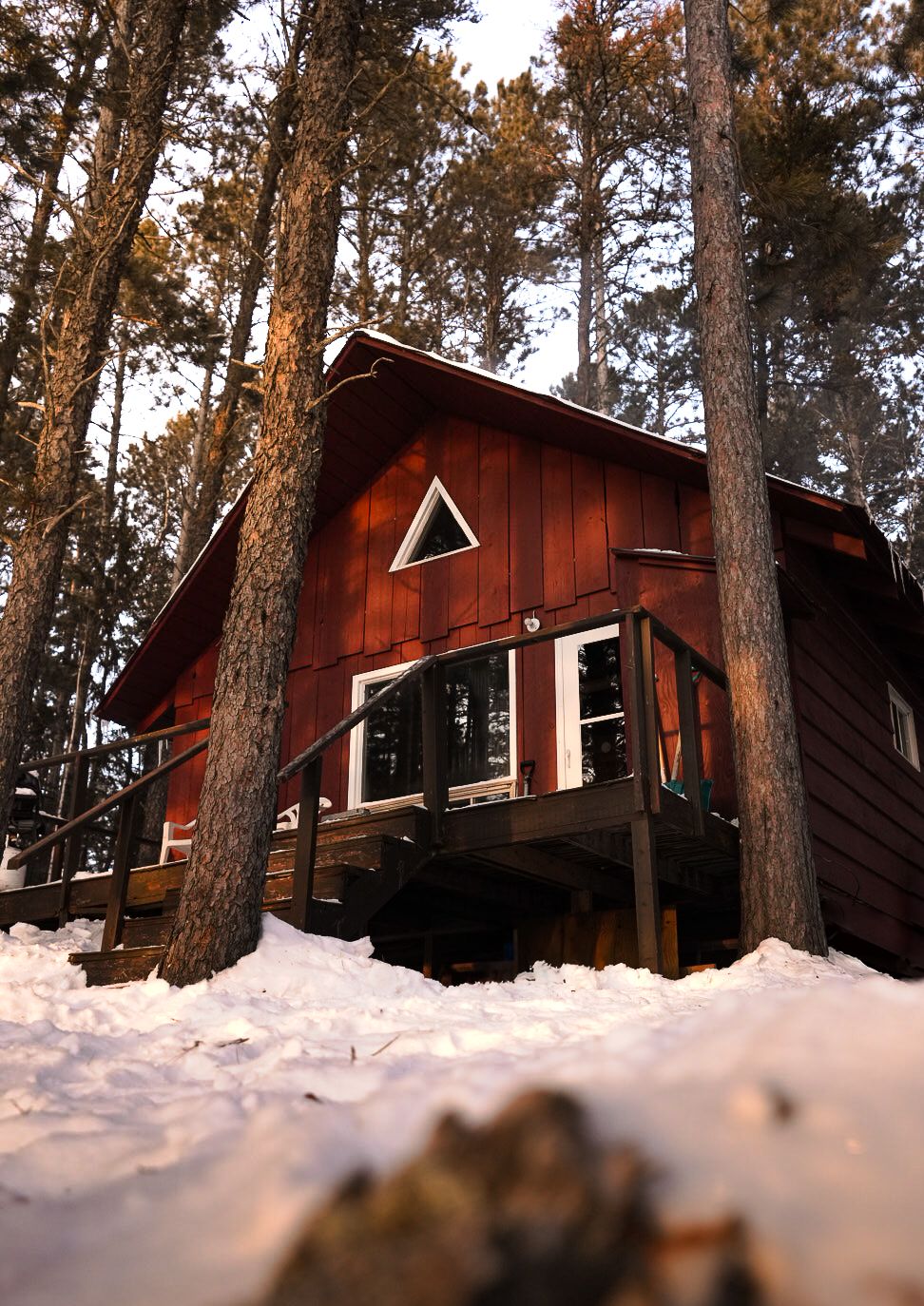 Red wooden cabin nestled among tall pine trees in snowy winter landscape.