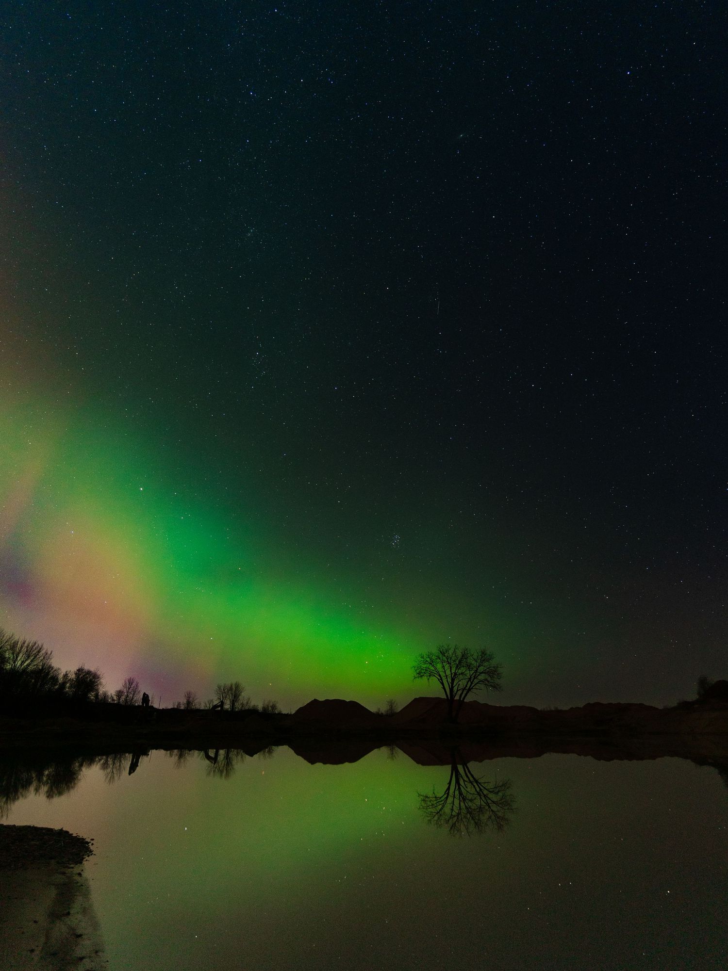 Vibrant green aurora borealis reflects in a calm lake at night with silhouetted trees along the shoreline.
