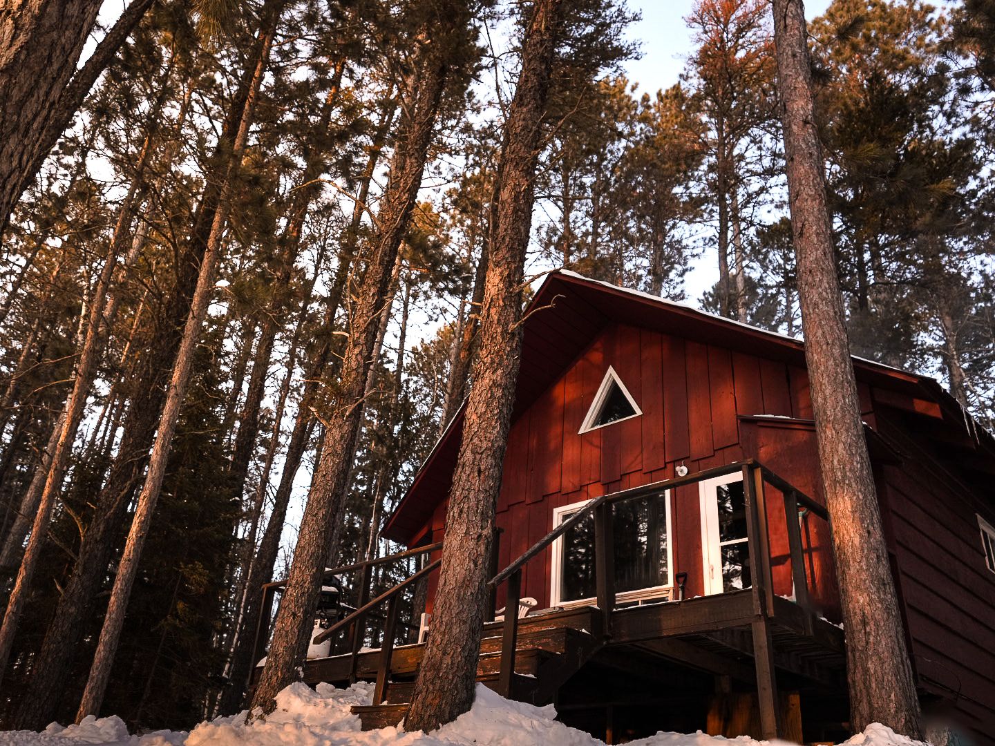 Snow-covered red cabin with white trim windows surrounded by towering pine trees at sunset.