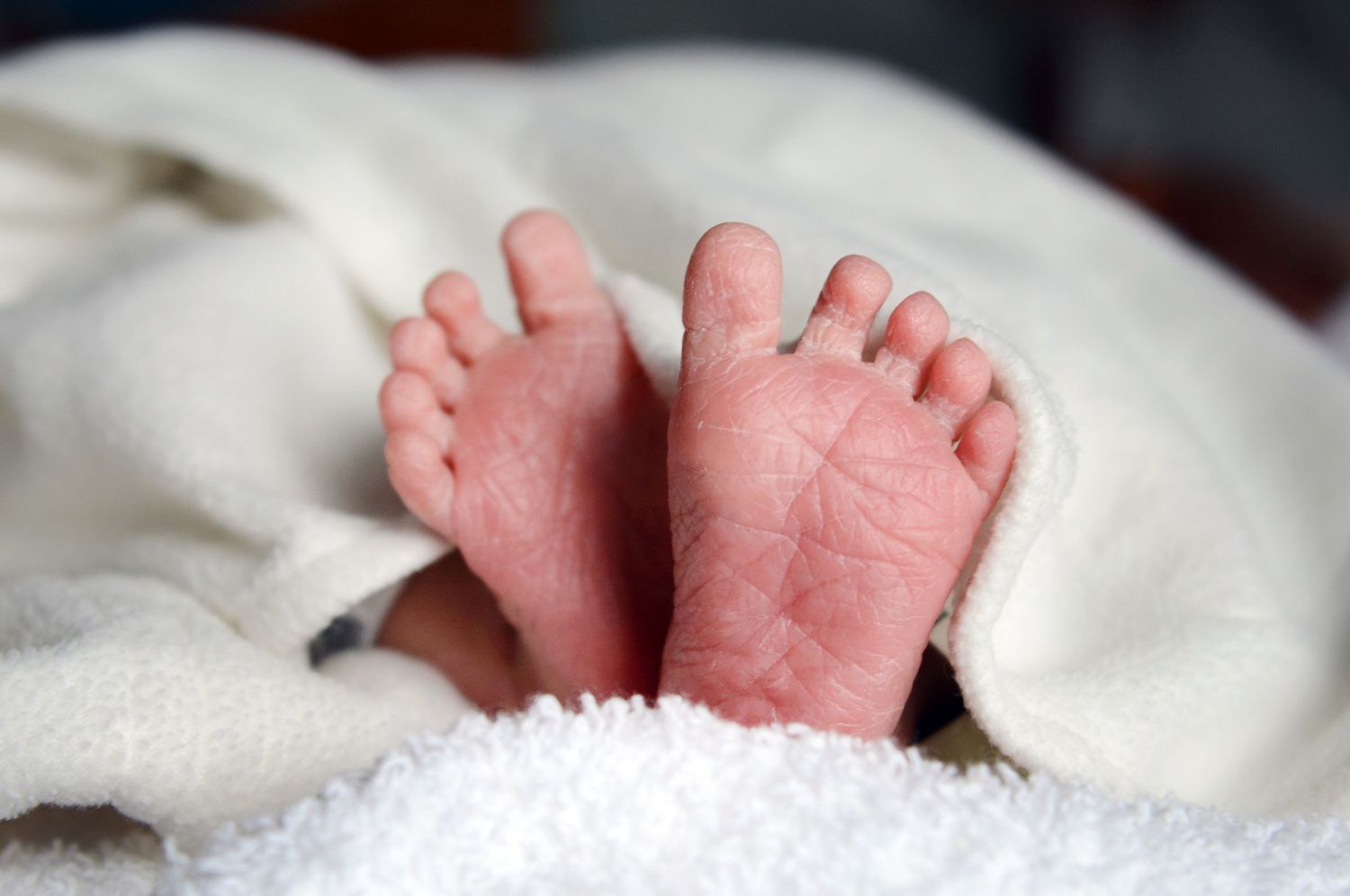 A close up of two newborn baby feet.