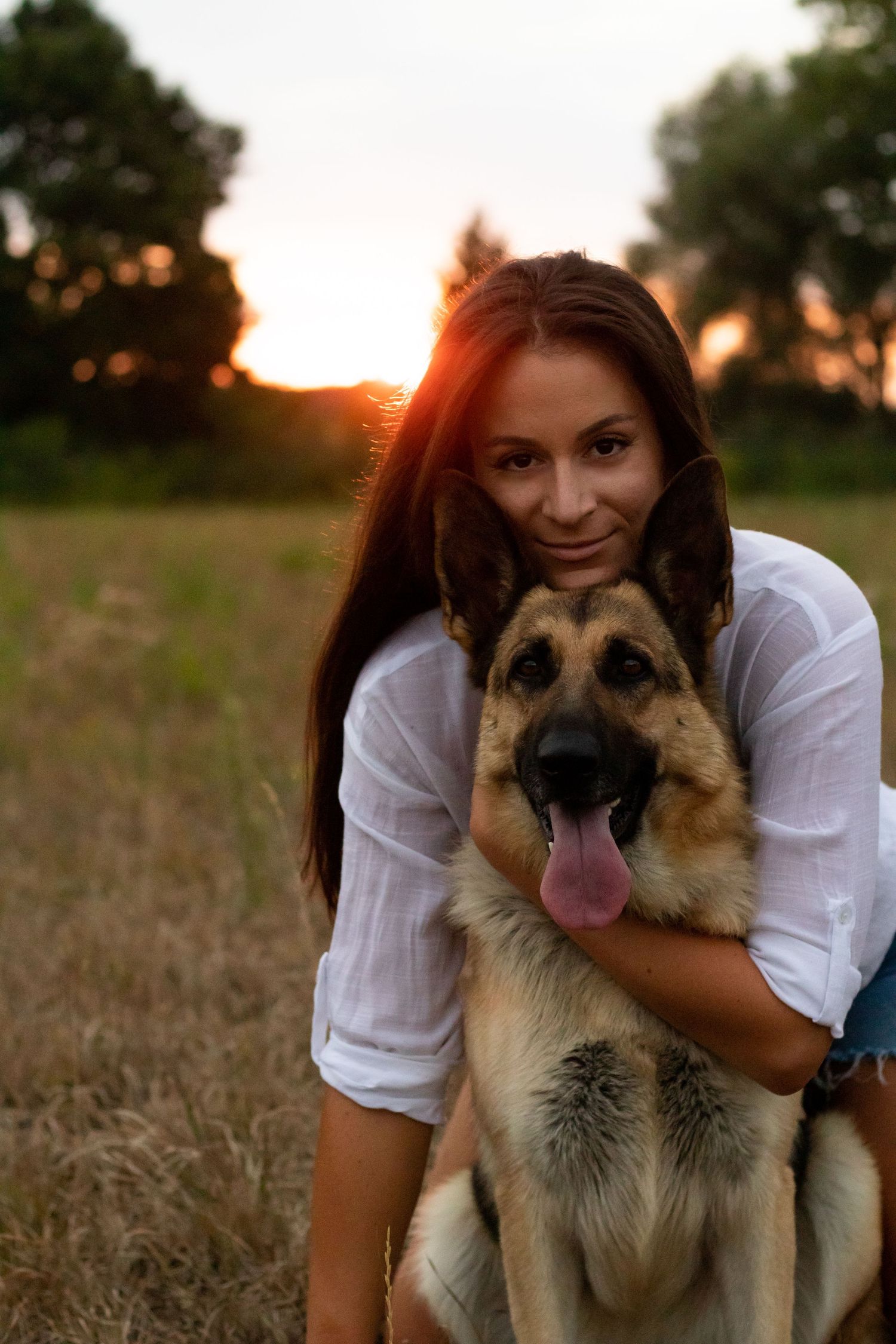 A German Shepherd mix dog and someone in white shirt play in a golden sunset field.