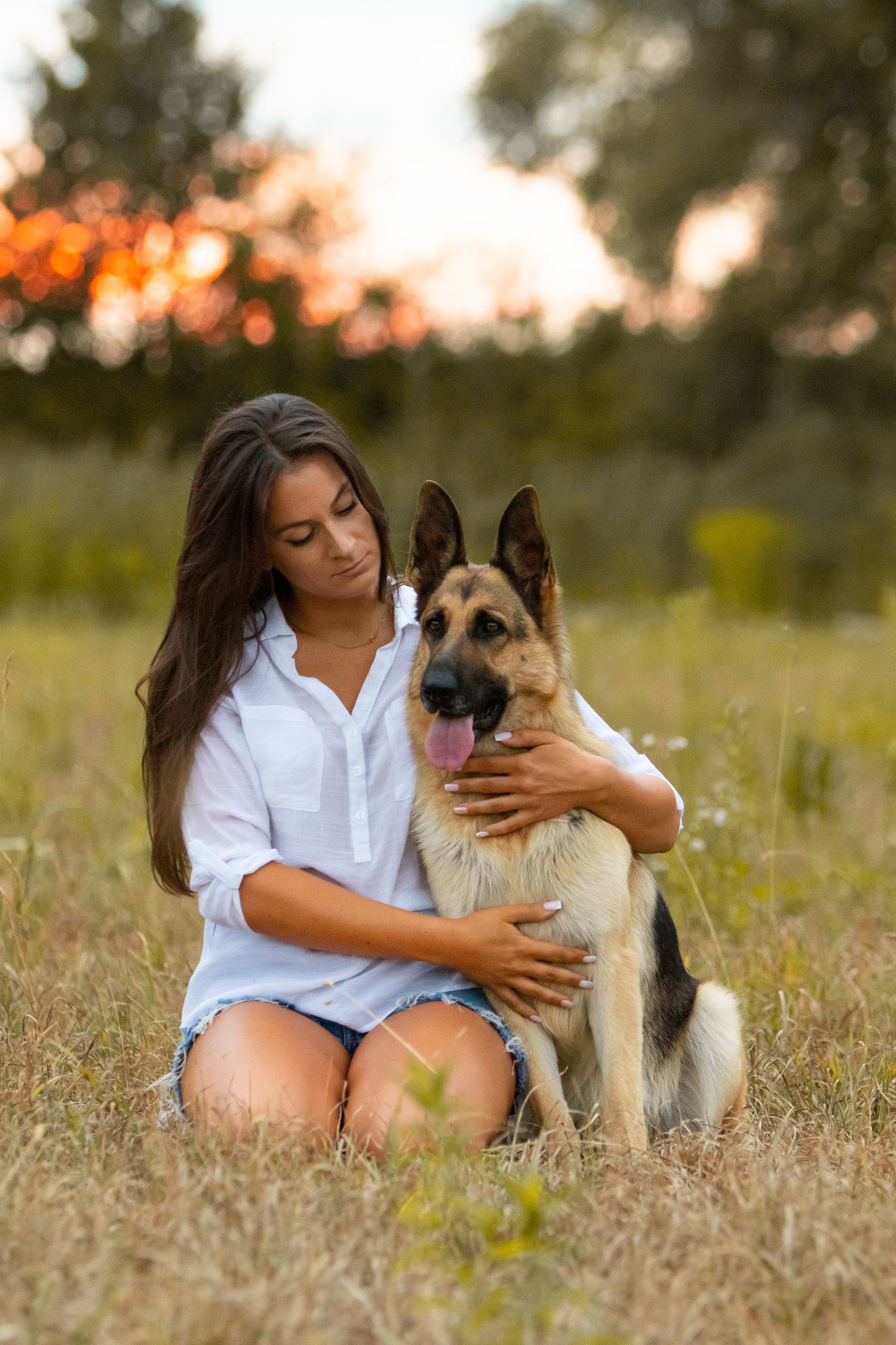 Person in white shirt sits with German Shepherd mix dog in summer meadow at sunset.