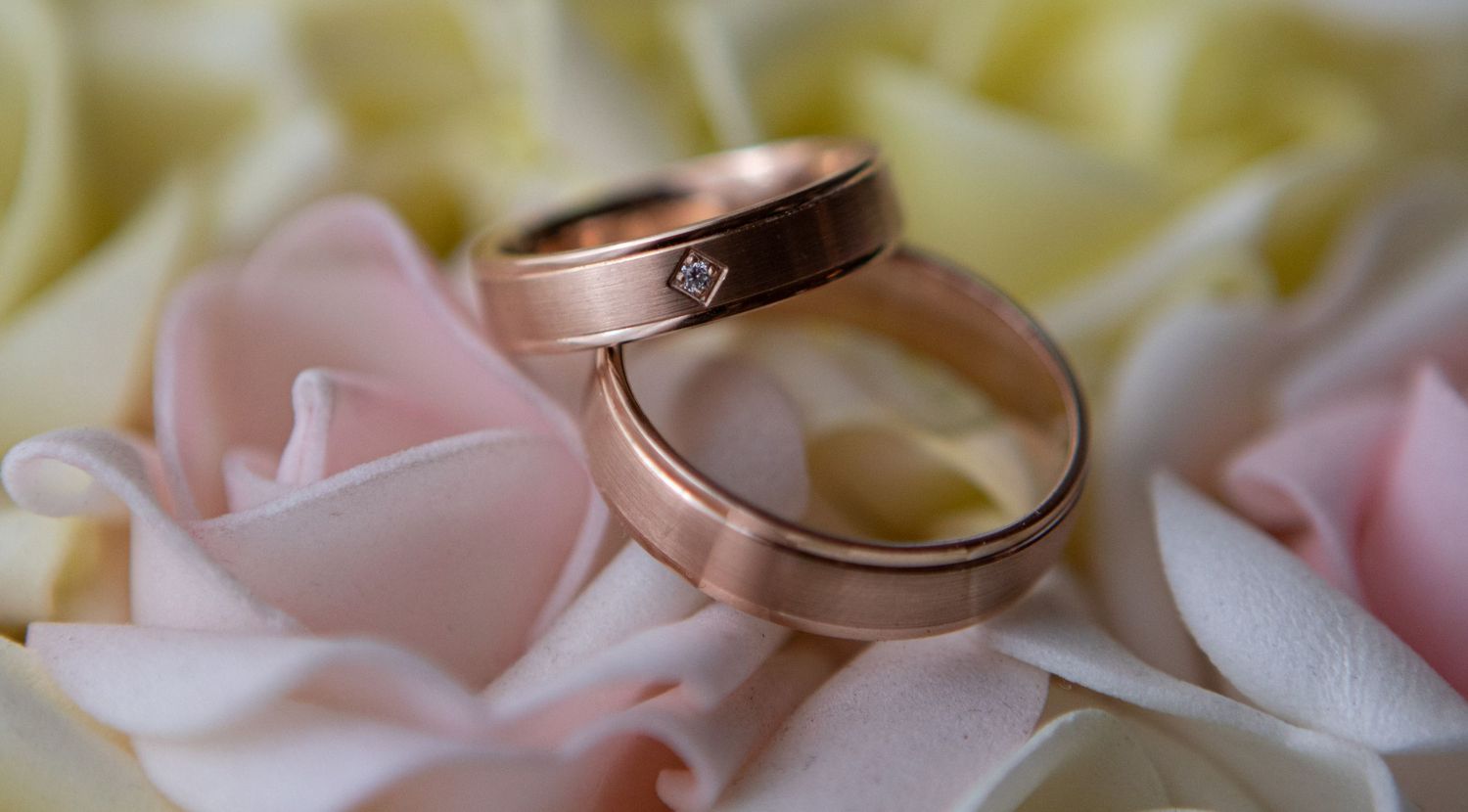Gold wedding rings nestled among soft pink and cream rose petals.