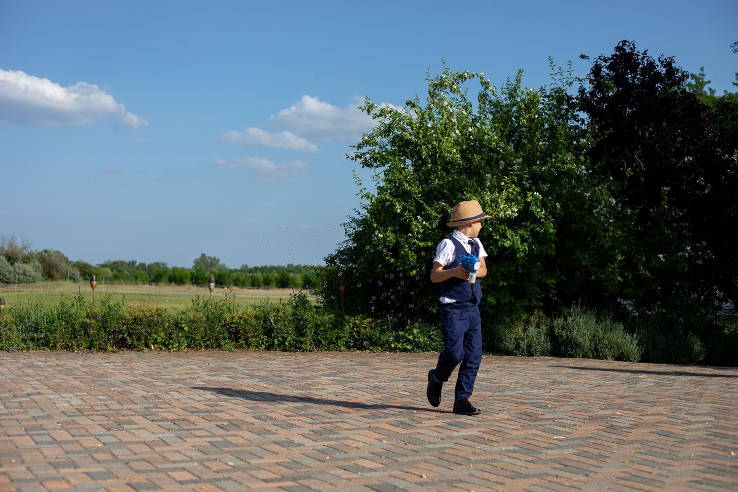 An outdoor wedding venue with clear blue skies and lush greenery.