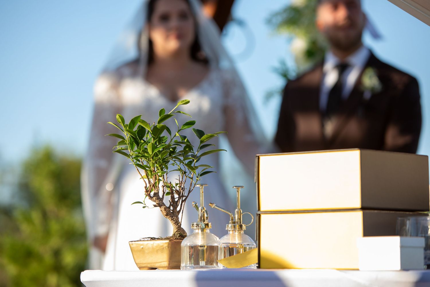 A small potted plant and glassware on a table during an outdoor wedding ceremony.