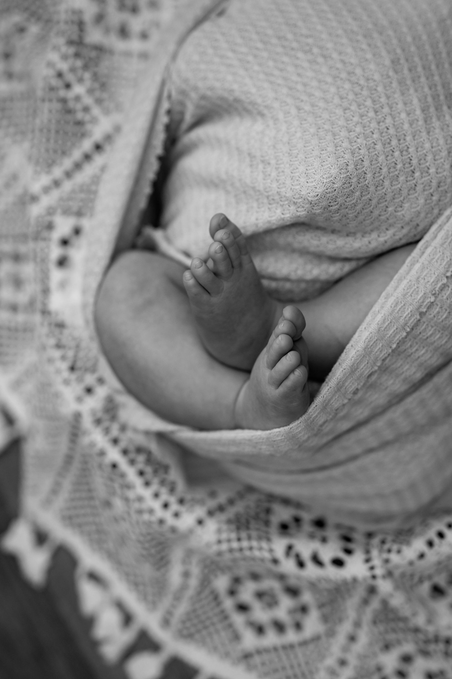 Black and white close-up photo of tiny newborn baby feet wrapped in a soft lace blanket.