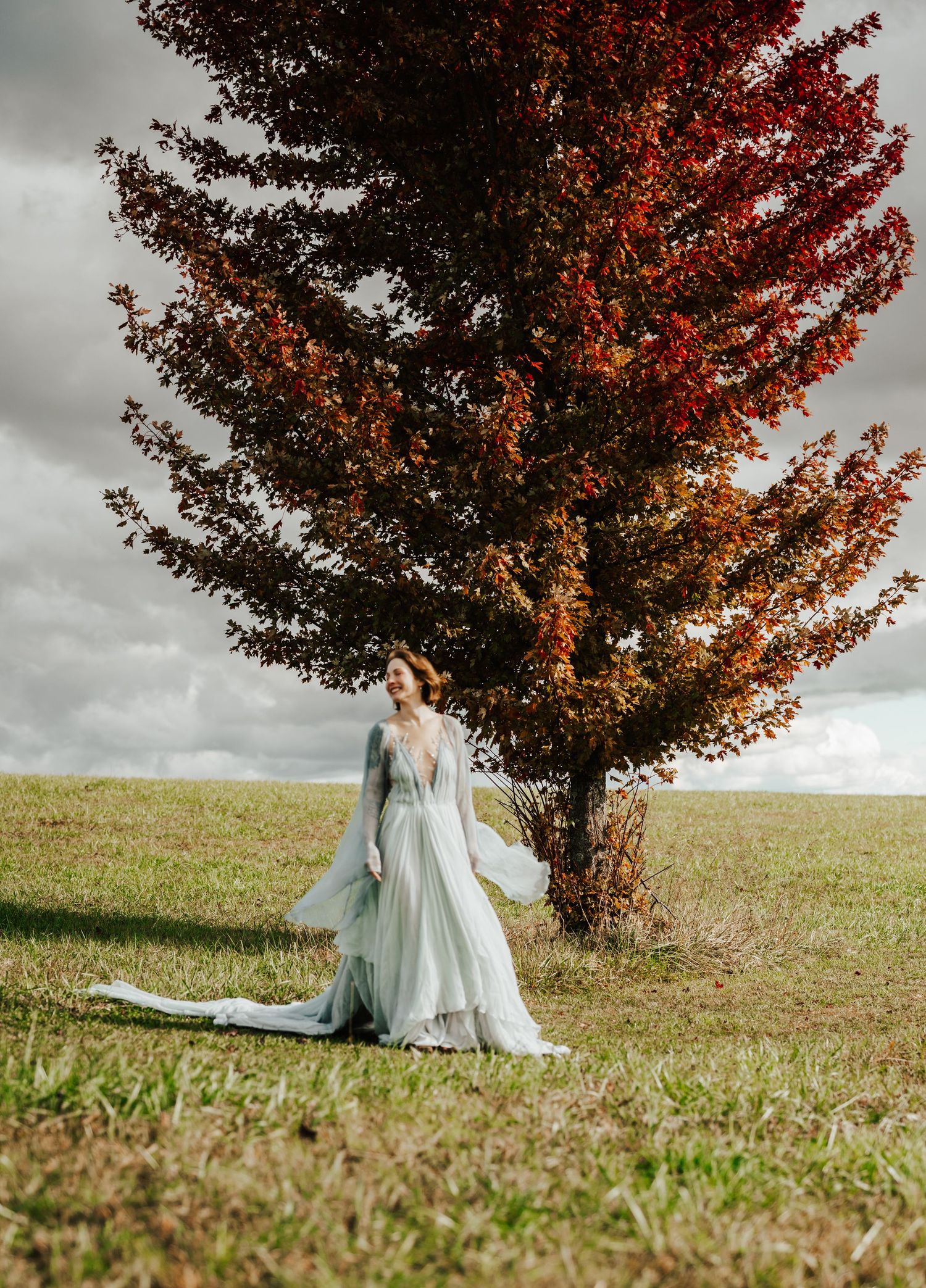 A maple tree with vibrant red autumn foliage stands dramatically against an overcast sky in a grassy meadow with Bride.
