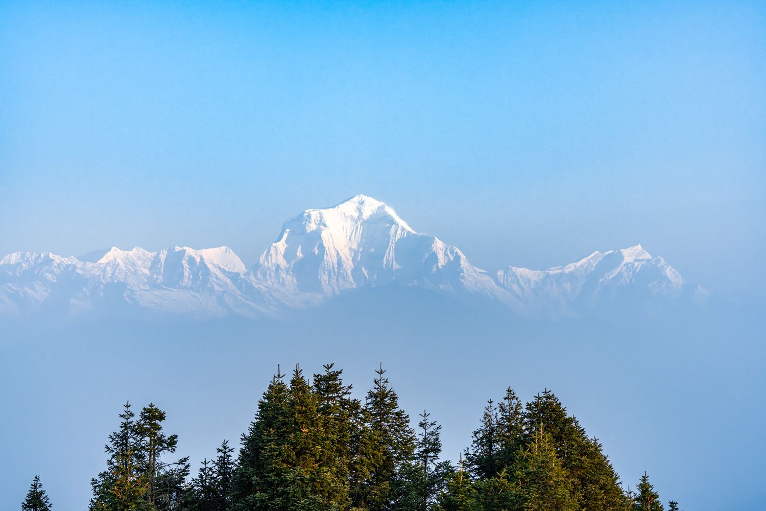Nepal - Dhaulagiri 8,167m.