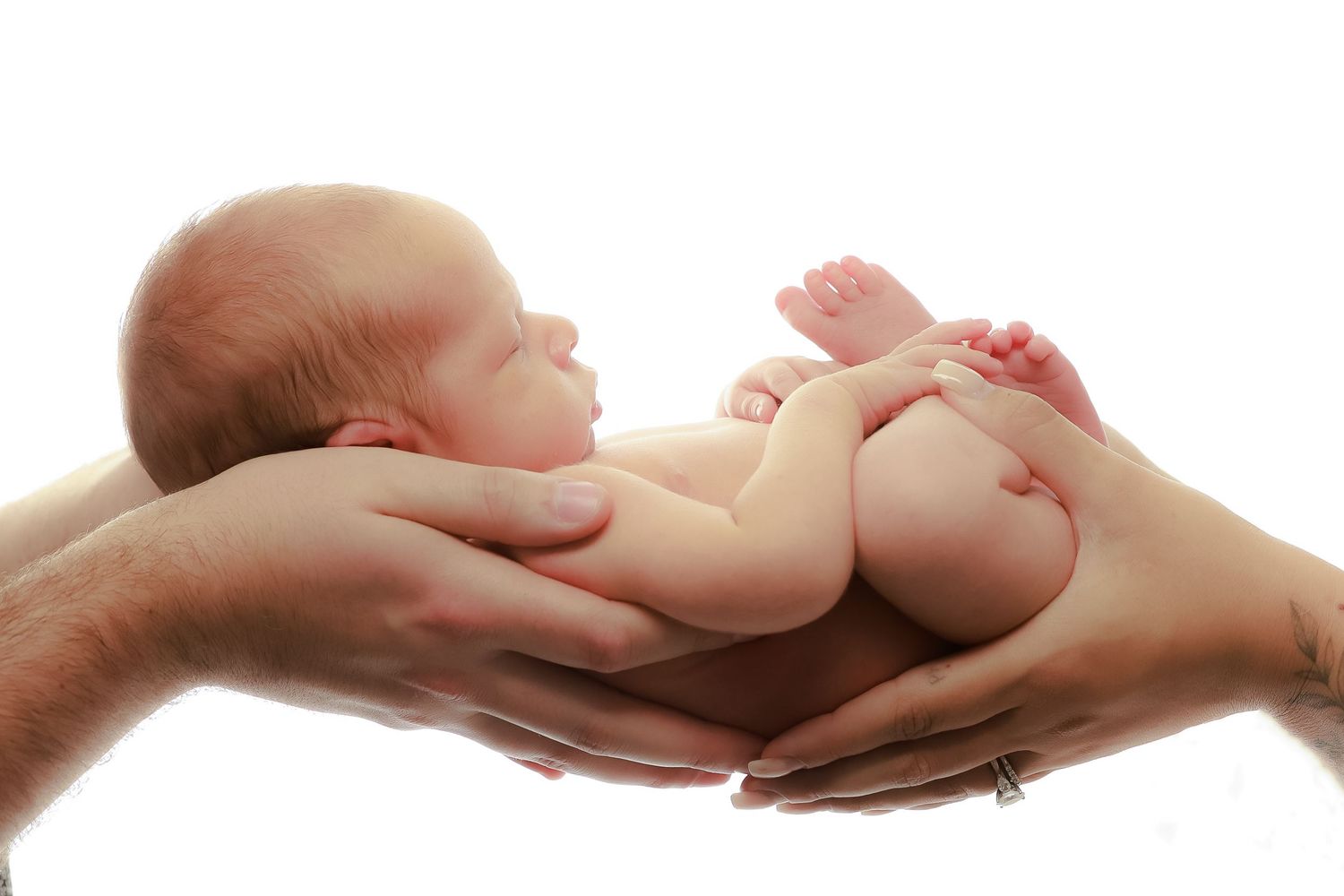 A newborn baby rests peacefully in supporting adult hands against a white background. luxury-family-photography-Ontario