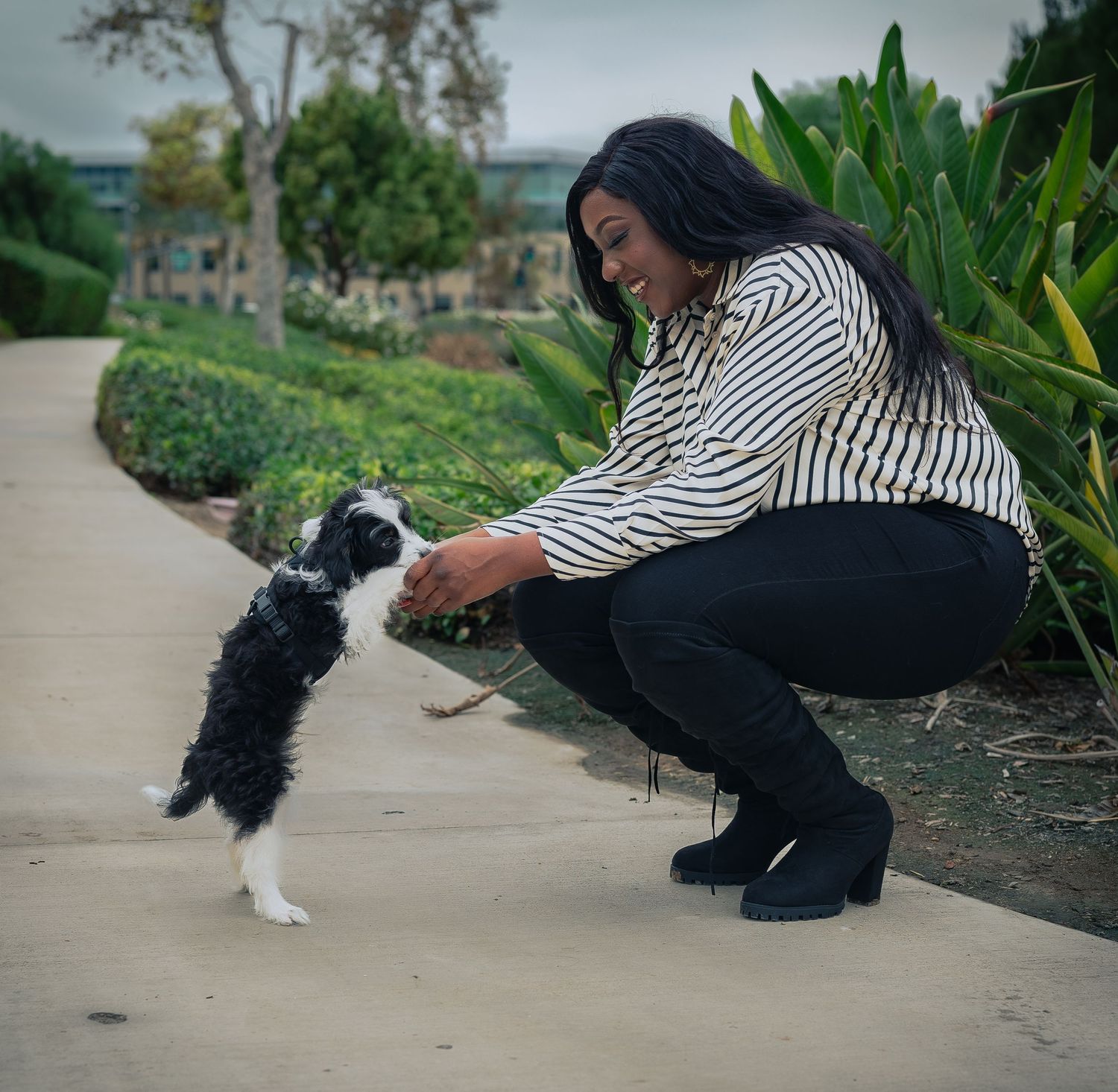 A person in a striped shirt plays with a small black and white dog on a garden pathway.