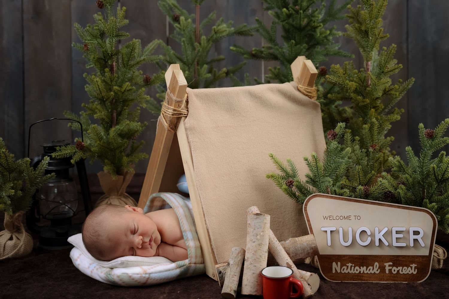 A sleeping baby rests on a beige couch surrounded by holiday decorations and evergreen branches.
