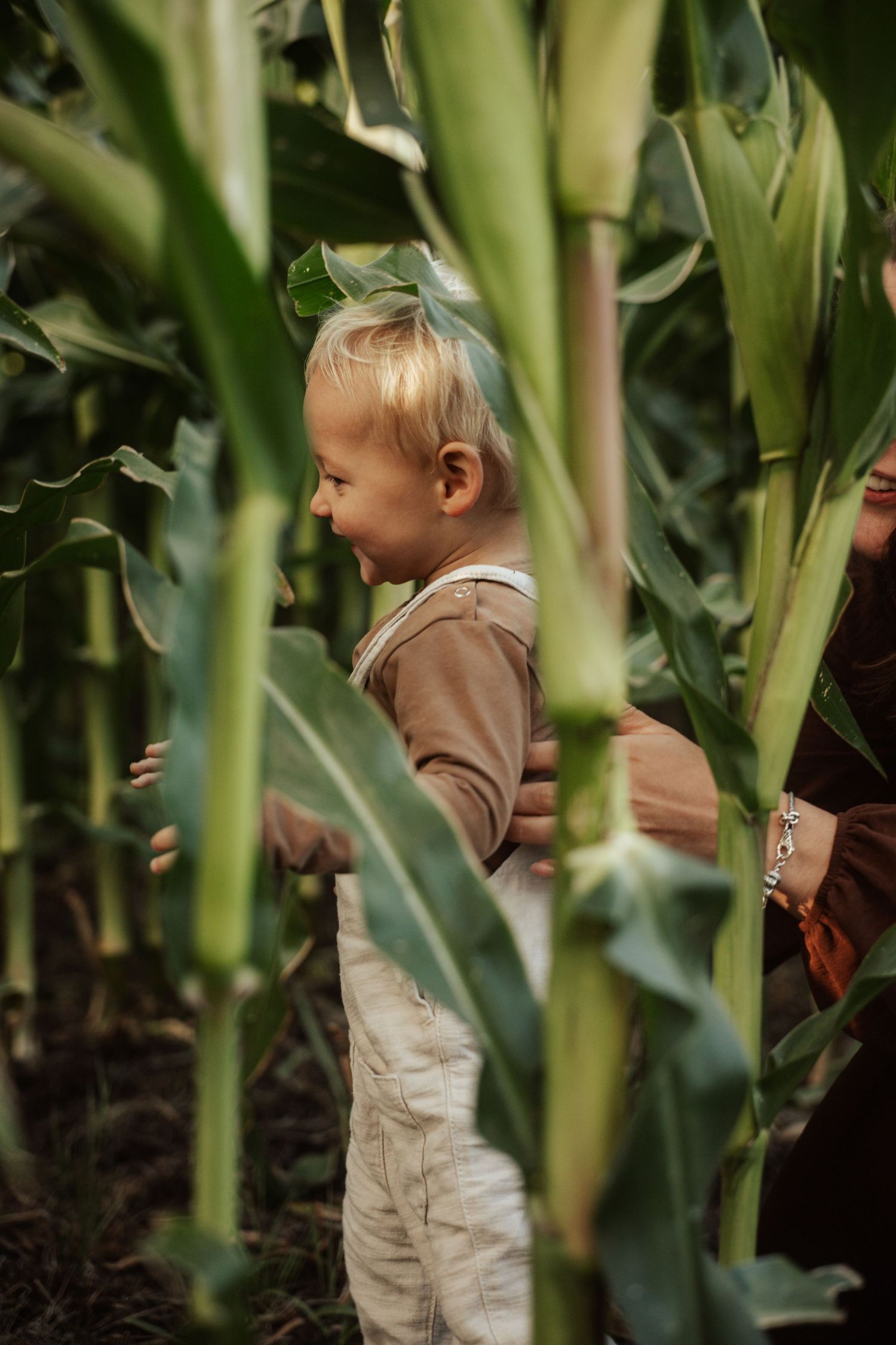 A laughing toddler with a green bow explores a lush cornfield, wearing beige overalls and a brown shirt.