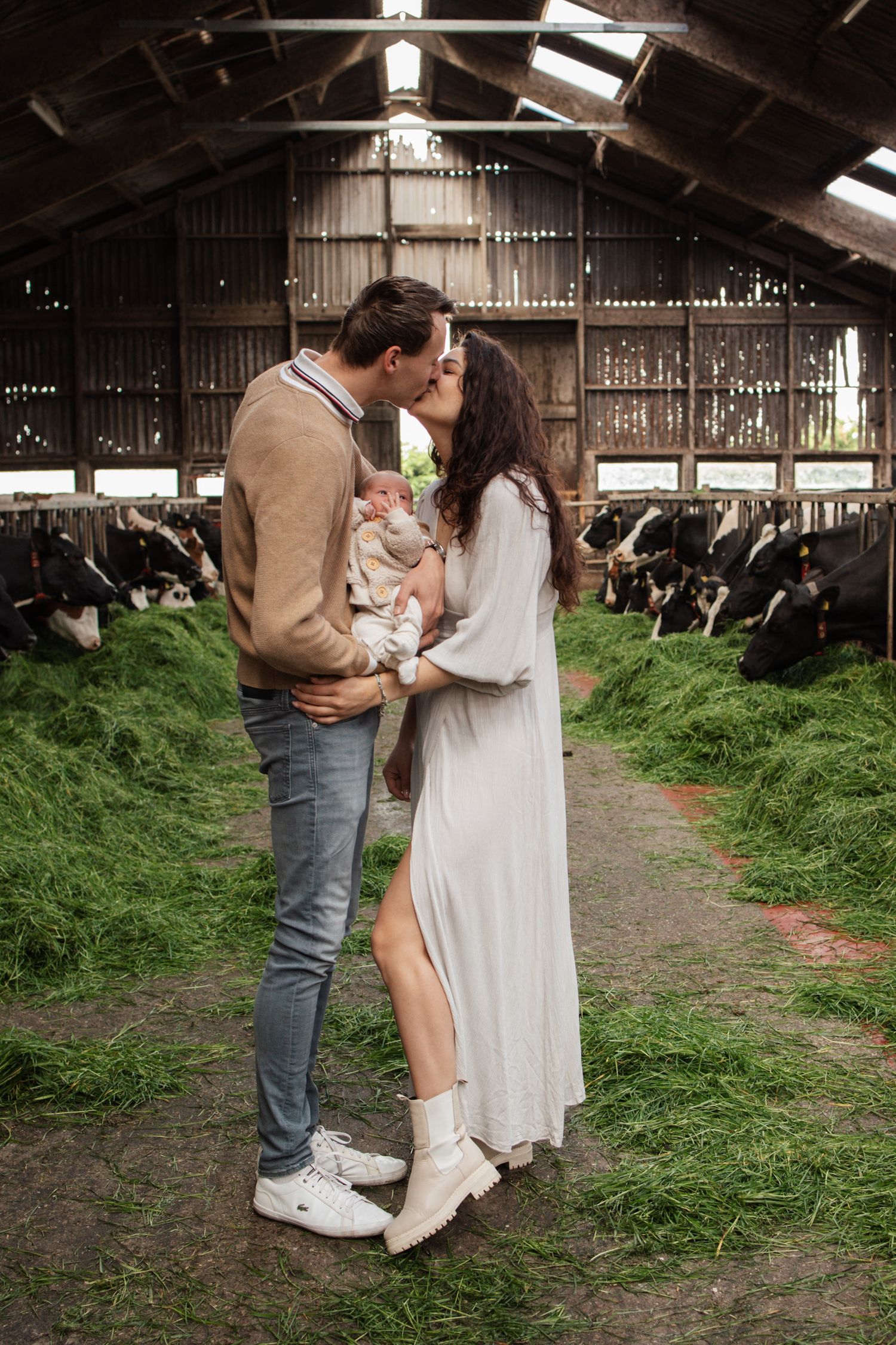 Couple embracing in a rustic barn with cows visible in the background.