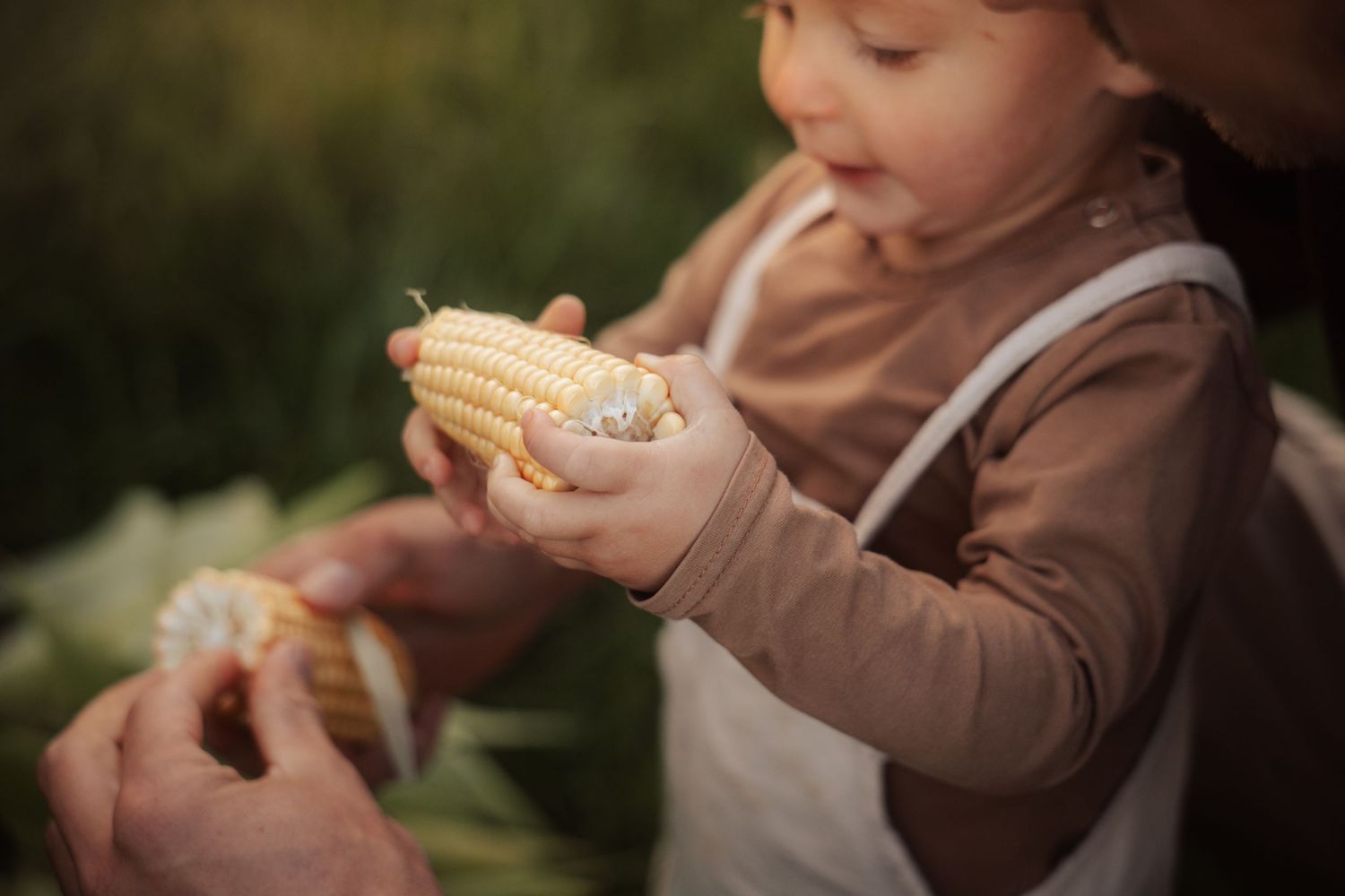 Person eating corn on the cob in warm lighting.