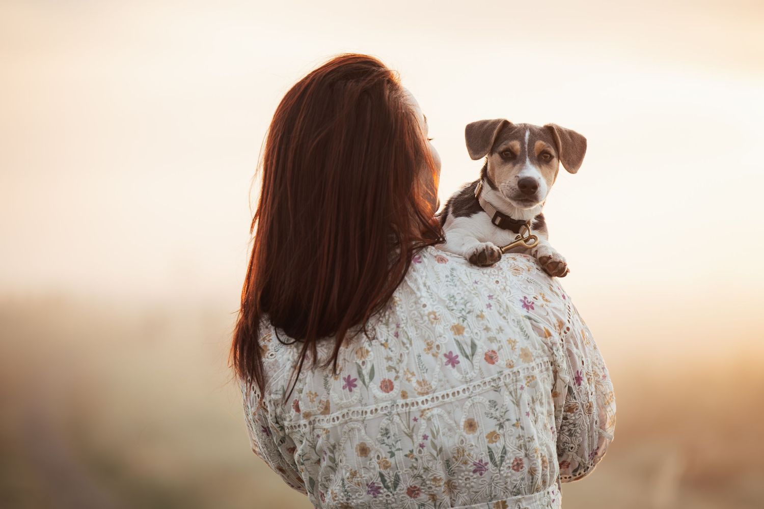 A person in a floral dress holds and cuddles with a small white and brown dog during sunset.