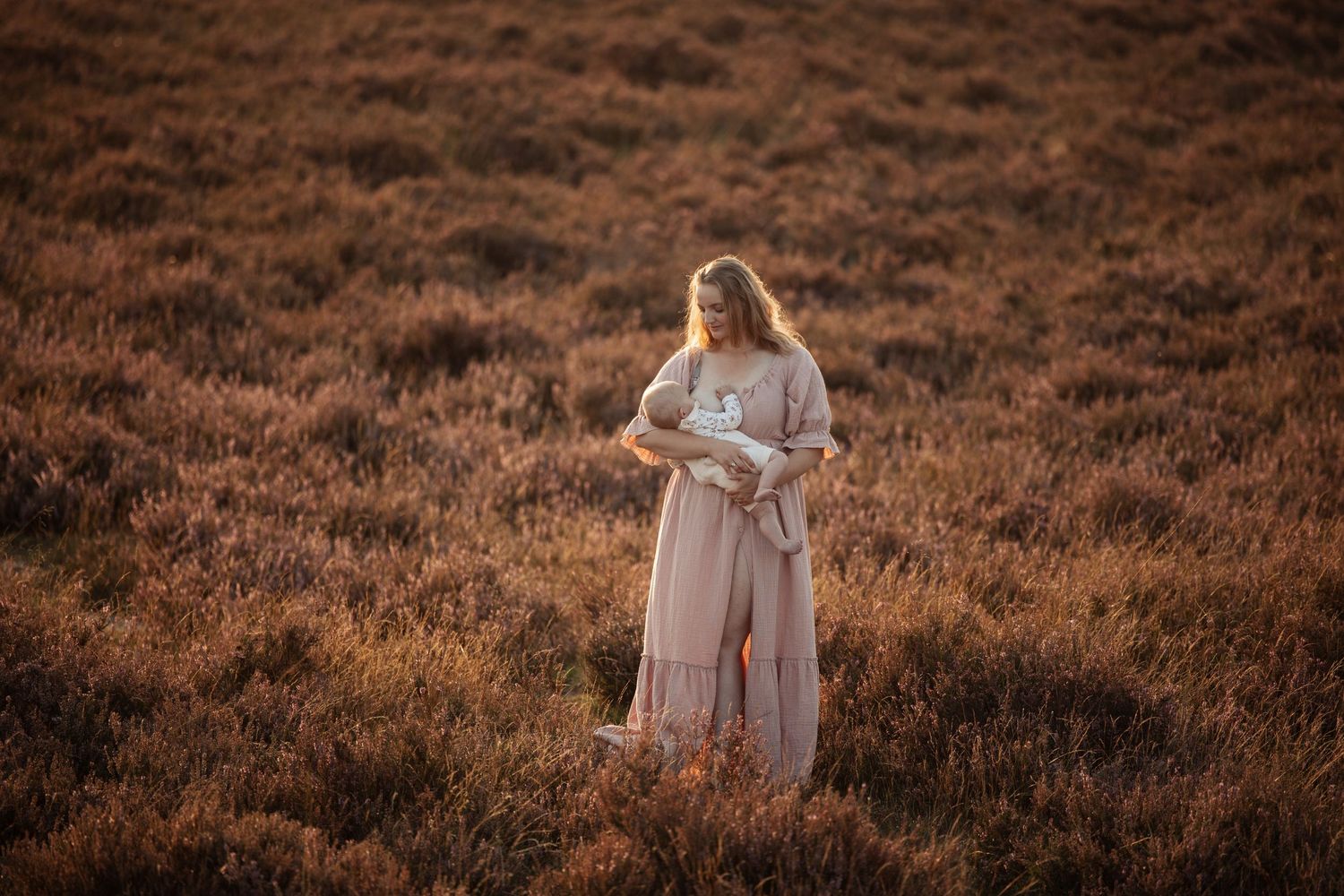 Ethereal portraits of woman in white dress among blooming heather fields.