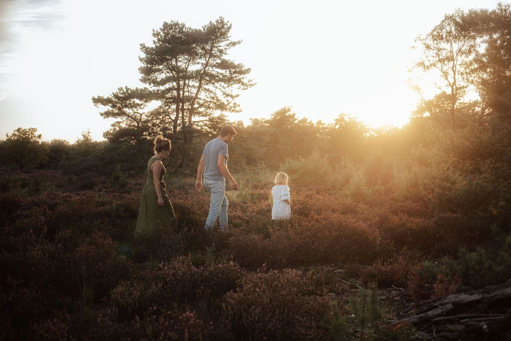 Distant figures stand in golden evening light on a hill covered in blooming heather.