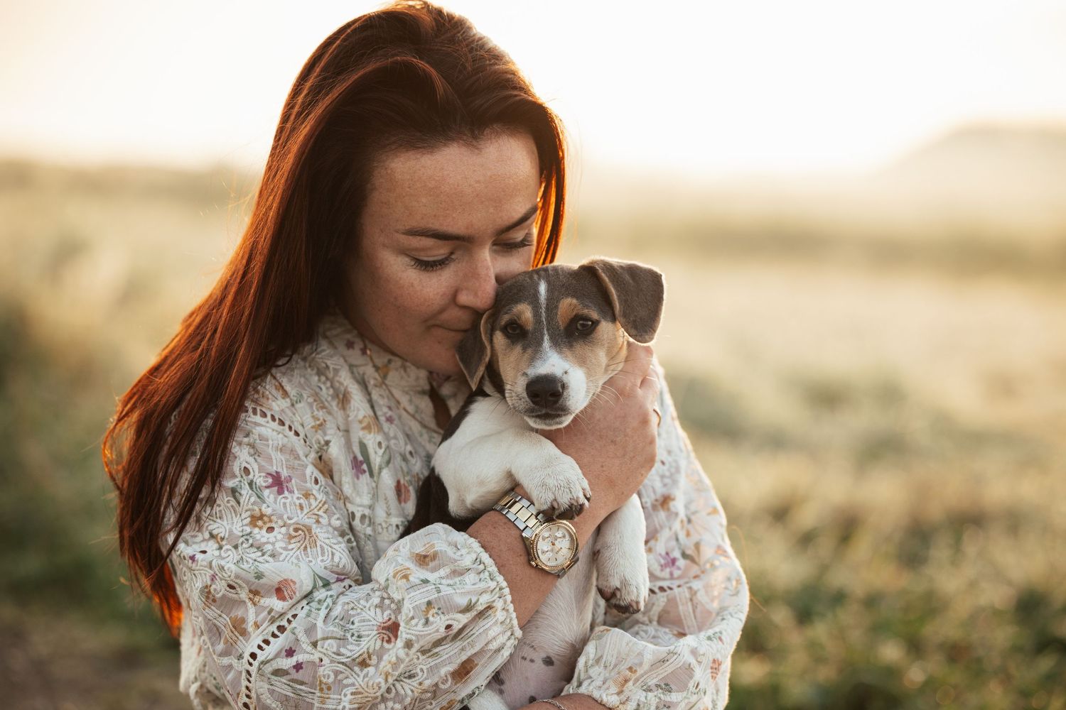 A Jack Russell terrier puppy being held and cuddled in a white lace dress during golden hour in a field.