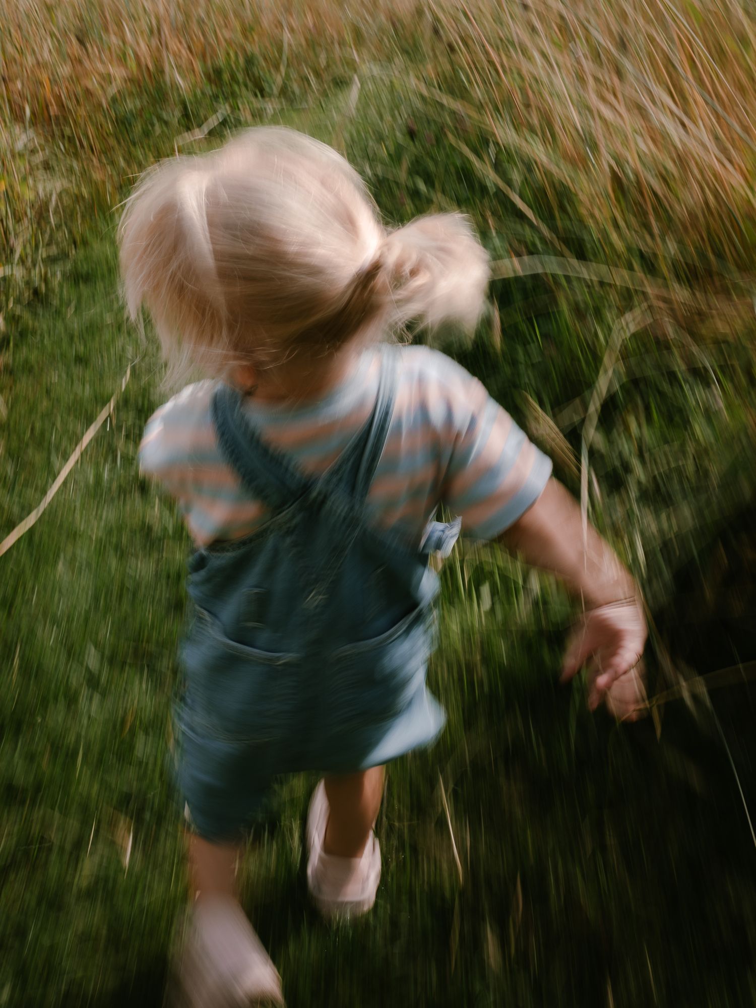Blond toddler girl in denim overalls and striped shirt running through tall green grass outdoors.