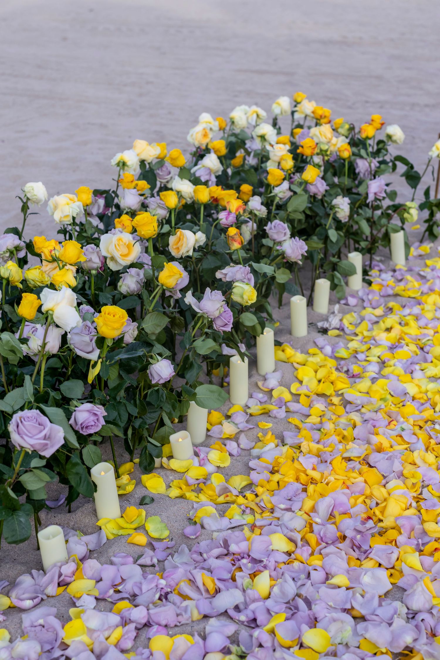 Yellow and purple rose petals scattered around white candles on beach sand.