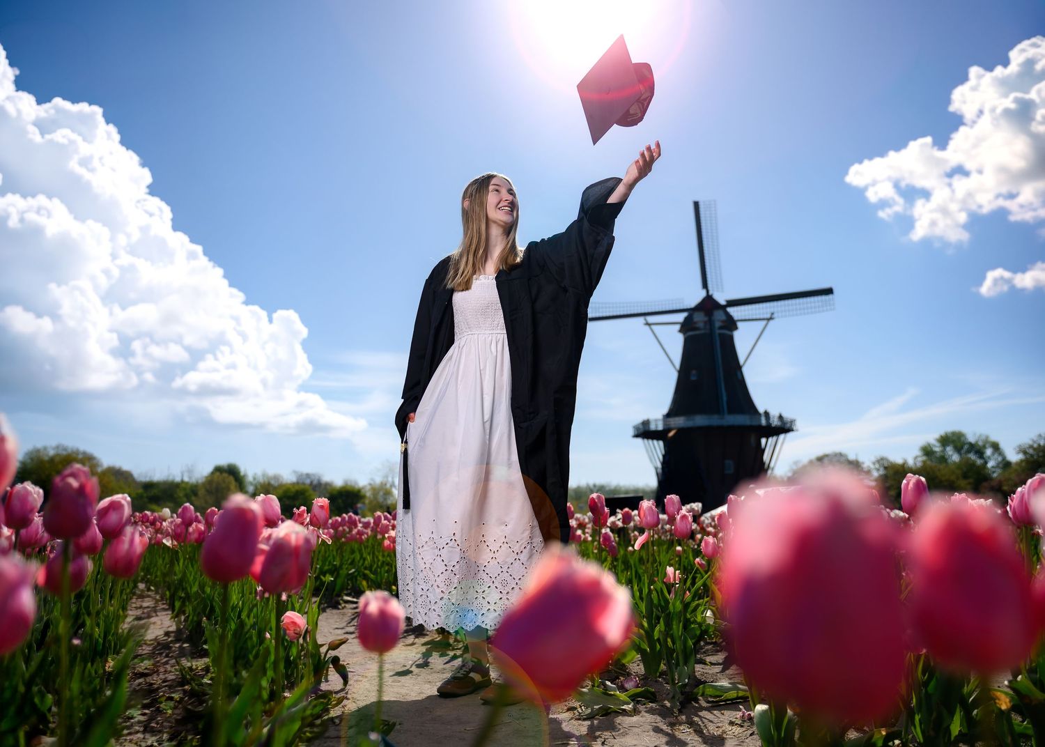 Graduate in black gown tosses cap in tulip field with Dutch windmill backdrop on sunny day.