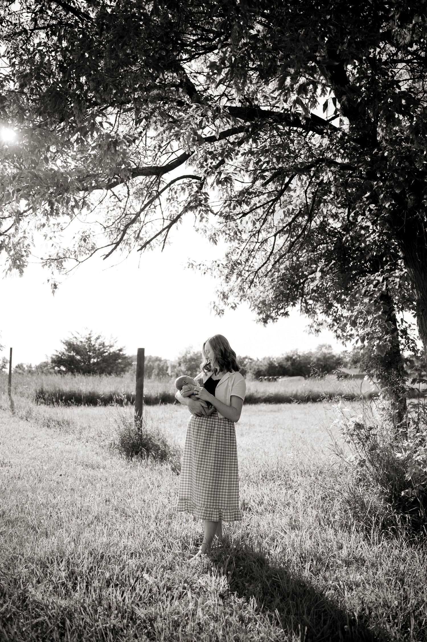 Black and white artistic photo sequence of a person in a field under a large tree.