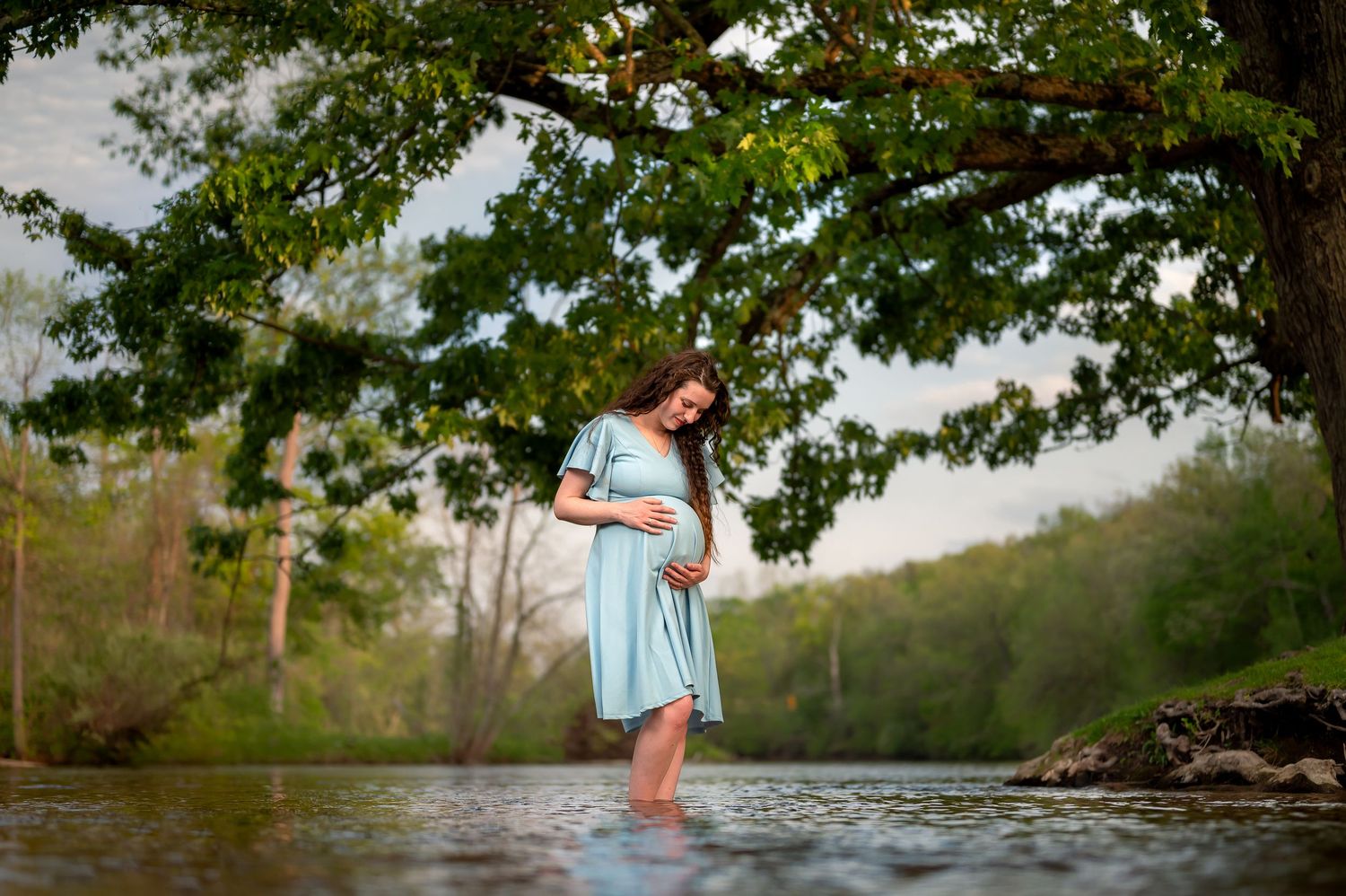 Pregnant woman in light blue dress standing in a serene river under a large tree during a maternity photo shoot.