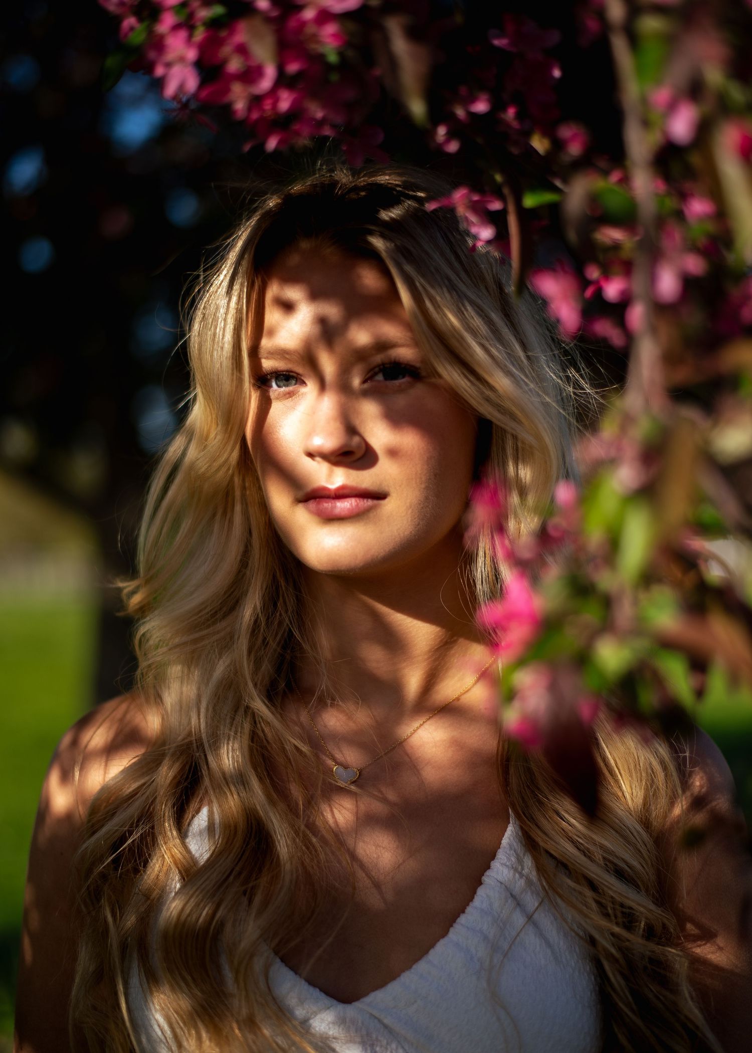 Dappled sunlight through cherry blossoms creates dreamy spring portrait.