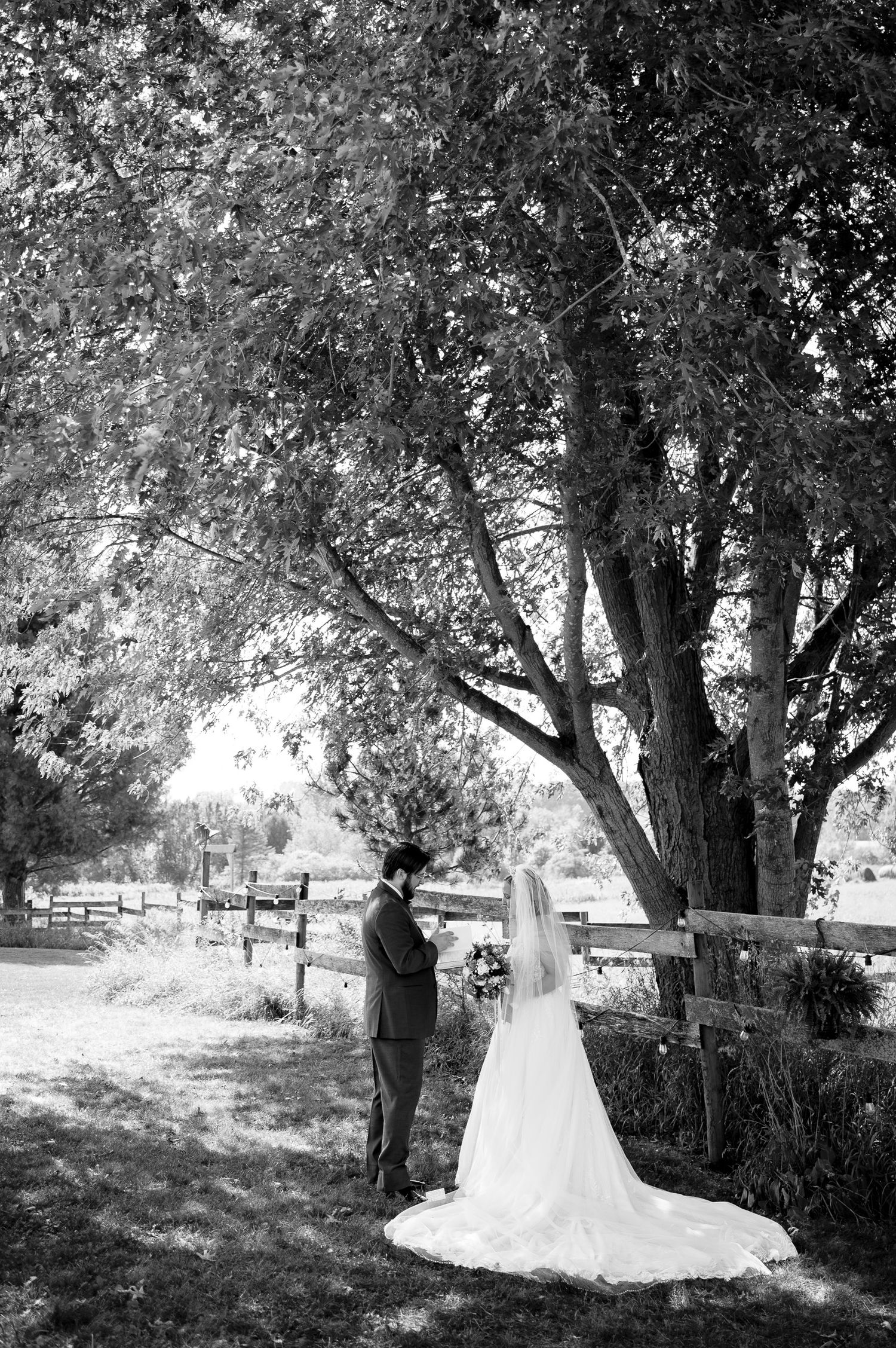 A black and white wedding photo showing a couple under a large tree with a rustic fence in the background.