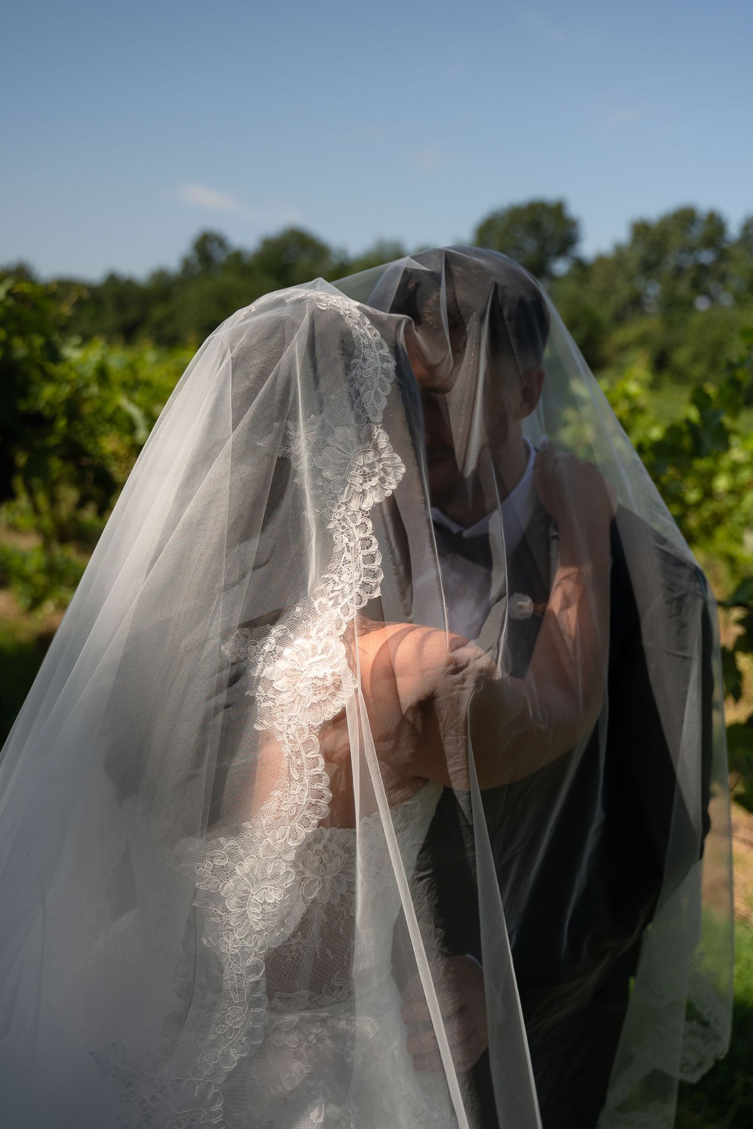 Bride and groom kissing under a flowing lace wedding veil outdoors in a vineyard on a sunny day.