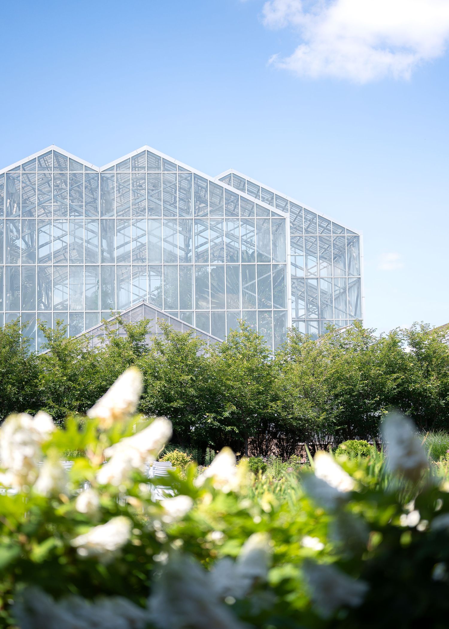 Large glass greenhouse structure surrounded by lush green trees and white flowering plants under a clear blue sky.